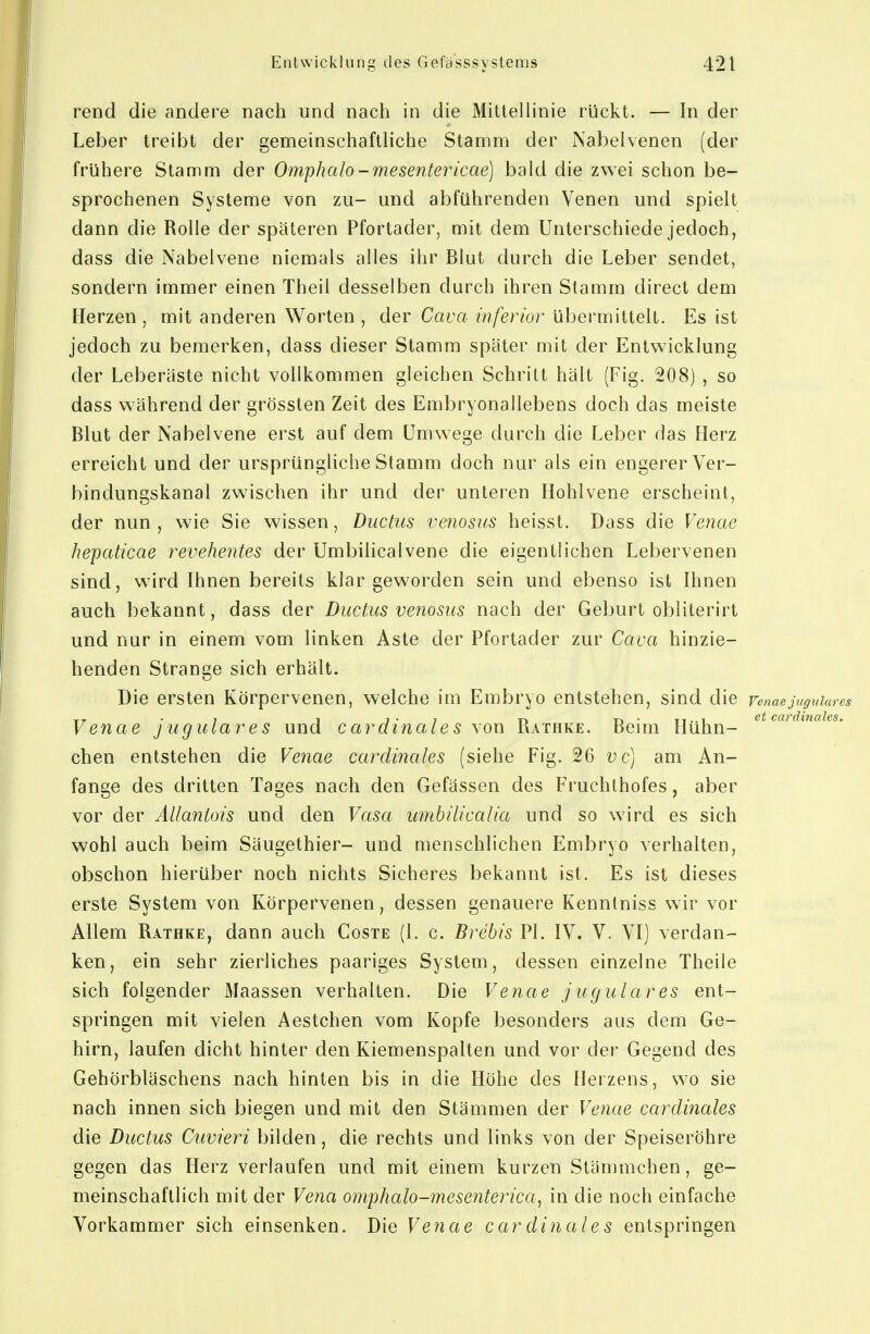 rend die andere nach und nach in die Mittellinie rückt. — In der Leber treibt der gemeinschaftliche Stamm der Nabelvenen (der frühere Stamm der Omphalo-mesentericae] bald die zwei schon be- sprochenen Systeme von zu- und abführenden Venen und spielt dann die Rolle der späteren Pfortader, mit dem Unterschiede jedoch, dass die Nabelvene niemals alles ihr Blut durch die Leber sendet, sondern immer einen Theil desselben durch ihren Stamm direct dem Herzen , mit anderen Worten , der Cava inferior Ubermittelt. Es ist jedoch zu bemerken, dass dieser Stamm später mit der Entwicklung der Leberäste nicht vollkommen gleichen Schritt hält (Fig. 208) , so dass während der grössten Zeit des Embryonallebens doch das meiste Blut der Nabelvene erst auf dem Umwege durch die Leber das Herz erreicht und der ursprüngliche Stamm doch nur als ein engerer Ver- bindungskanal zwischen ihr und der unleren Hohlvene erscheint, der nun , wie Sie wissen, Ductus venosus heisst. Dass die Venae hepaticae revehentes der Umbilicalvene die eigentlichen Lebervenen sind, wird Ihnen bereits klargeworden sein und ebenso ist Ihnen auch bekannt, dass der Ductus venosus nach der Geburt obliterirt und nur in einem vom linken Aste der Pfortader zur Cava hinzie- henden Strange sich erhält. Die ersten Körpervenen, welche im Embryo entstehen, sind die venaejuguiares Venae jugulares und cardinales von Rathke. Beim Hühn- chen entstehen die Venae cardinales (siehe Fig. 26 vc] am An- fange des dritten Tages nach den Gefässen des Fruchlhofes, aber vor der Allantois und den Vasa umhilicalia und so wird es sich wohl auch beim Säugethier- und menschlichen Embryo verhalten, obschon hierüber noch nichts Sicheres bekannt ist. Es ist dieses erste System von Körpervenen, dessen genauere Kenntniss wir vor Allem Rathke, dann auch Coste (1. c. Brebis PI. IV. V. VI) verdan- ken, ein sehr zierliches paariges System, dessen einzelne Theile sich folgender Maassen verhalten. Die Venae jugulares ent- springen mit vielen Aestchen vom Kopfe besonders aus dem Ge- hirn, laufen dicht hinter den Kiemenspalten und vor der Gegend des Gehörbläschens nach hinten bis in die Höhe des Herzens, wo sie nach innen sich biegen und mit den Stämmen der Ve^iae cardinales die Ductus Cuvieri bilden, die rechts und links von der Speiseröhre gegen das Herz verlaufen und mit einem kurzen Stämmchen, ge- meinschaftlich mit der Ve?ia omphalo-mesenterica^ in die noch einfache Vorkammer sich einsenken. Die Venae car dinales entspringen