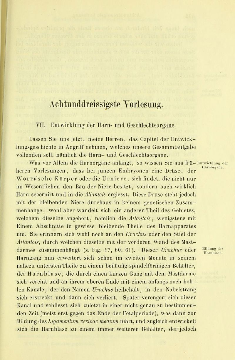 Achtimddreissigste Yorlesimg. YII. Entwicklung der Harn- und GescWechtsorgane. Lassen Sie uns jetzt, meine Herren, das Capilel der Entwick- lungsgeschichte in Angriff nehmen, welches unsere Gesammtaufgabe vollenden soll, nämlich die Harn- und Geschlechtsorgane. Was vor Allem die Harnorgane anlangt, so wissen Sie aus frü-Entwicklung der Harnorgane. heren Vorlesungen, dass bei jungen Embryonen eme Drüse, der Wolff'sche Körper oder die Urniere, sich findet, die nicht nur im Wesentlichen den Bau der Niere besitzt, sondern auch wirklich Harn secernirt und in die Ällantois ergiesst. Diese Drüse steht jedoch mit der bleibenden Niere durchaus in keinem genetischen Zusam- menhange , wohl aber wandelt sich ein anderer Theil des Gebietes, welchem dieselbe angehört, nämlich die Ällantois, wenigstens mit Einem Abschnitte in gewisse bleibende Theile des Harnapparates um. Sie erinnern sich wohl noch an den Urachus oder den Stiel der Ällantois, durch welchen dieselbe mit der vorderen Wand des Mast- darmes zusammenhängt (s. Fig. 47, 60, 61). Dieser Urachus oder ^^^^^'^'^f^gg' Harngang nun erweitert sich schon im zweiten Monate in seinem nahezu untersten Theile zu einem beiläufig spindelförmigen Behälter, der Harnblase, die durch einen kurzen Gang mit dem Mastdarme sich vereint und an ihrem oberen Ende mit einem anfangs noch hoh- len Kanäle, der den Namen Urachus beibehält, in den Nabelstrang sich erstreckt und dann sich verliert. Später verengert sich dieser Kanal und schliesst sich zuletzt in einer nicht genau zu bestimmen- den Zeit (meist erst gegen das Ende der Fötalperiode), was dann zur Bildung des Ligamentum vesicae medium führt, und zugleich entwickelt sich die Harnblase zu einem immer weiteren Behälter, der jedoch