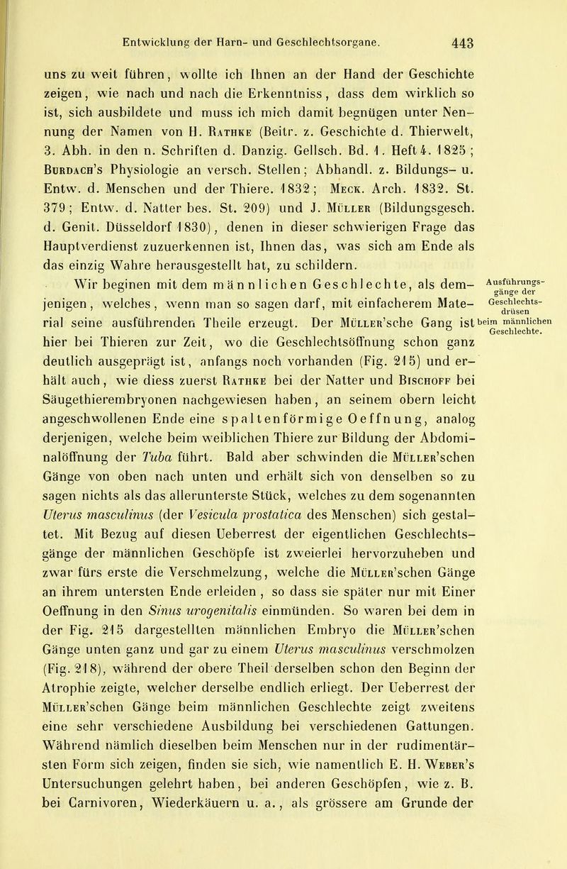 uns zu weit führen, wollte ich Ihnen an der Hand der Geschichte zeigen, wie nach und nach die Erkenntniss , dass dem wirklich so ist, sich ausbildete und muss ich mich damit begnügen unter Nen- nung der Namen von H. Rathke (Beitr. z. Geschichte d. Thierwelt, 3. Abh. in den n. Schriften d. Danzig. Gellsch. Bd. 1. Heft 4. 1825 ; Bürdach's Physiologie an versch. Stellen; Abhandl. z. Bildungs-u. Entw. d. Menschen und der Thiere. 1832; Meck. Arch. 1832. St. 379 ; Entw. d. Natter bes. St. 209) und J. Müller (Bildungsgesch. d. Genit. Düsseldorf 1830), denen in dieser schwierigen Frage das Hauptverdienst zuzuerkennen ist, Ihnen das, was sich am Ende als das einzig Wahre herausgestellt hat, zu schildern. Wir besinen mit dem m än n 1 ich en Ges ch 1 ech te, als dem- Ausführungs- c ' gange der jenieen , welches, w^enn man so saeen darf, mit einfacherem Mate- Geschiechts- ^ ' ' o ' drüsen rial seine ausführenden Theile erzeugt. Der MüLLEu'sche Gans; ist beim männlichen ^ ^ Geschlechte. hier bei Thieren zur Zeit, wo die Geschlechtsöffnung schon ganz deutlich ausgeprägt ist, anfangs noch vorhanden (Fig. 215) und er- hält auch, wie diess zuerst Rathke bei der Natter und Bischoff bei Säugethierembryonen nachgewiesen haben, an seinem obern leicht angeschwollenen Ende eine spaltenförmige Oeffnung, analog derjenigen, welche beim weiblichen Thiere zur Bildung der Abdomi- nalöffnung der Tuba führt. Bald aber schwinden die MüLLEa'schen Gänge von oben nach unten und erhält sich von denselben so zu sagen nichts als das allerunterste Stück, welches zu dem sogenannten Uterus masculinus (der Vesicula prostatica des Menschen) sich gestal- tet. Mit Bezug auf diesen Ueberrest der eigentlichen Geschlechts- gänge der männlichen Geschöpfe ist zweierlei hervorzuheben und zwar fürs erste die Verschmelzung, welche die MüLLER'schen Gänge an ihrem untersten Ende erleiden , so dass sie später nur mit Einer Oeffnung in den Simis urogenitalis einmünden. So waren bei dem in der Fig. 215 dargestellten männlichen Embryo die MüLLER'schen Gänge unten ganz und gar zu einem Uterus mascuUtius verschmolzen (Fig. 218), während der obere Theil derselben schon den Beginn der Atrophie zeigte, welcher derselbe endlich erliegt. Der Ueberrest der MüLLER'schen Gänge beim männlichen Geschlechte zeigt zweitens eine sehr verschiedene Ausbildung bei verschiedenen Gattungen. Während nämlich dieselben beim Menschen nur in der rudimentär- sten Form sich zeigen, finden sie sich, wie namentlich E. H. Weber's Untersuchungen gelehrt haben, bei anderen Geschöpfen, wie z. B. bei Carnivoren, Wiederkäuern u. a., als grössere am Grunde der