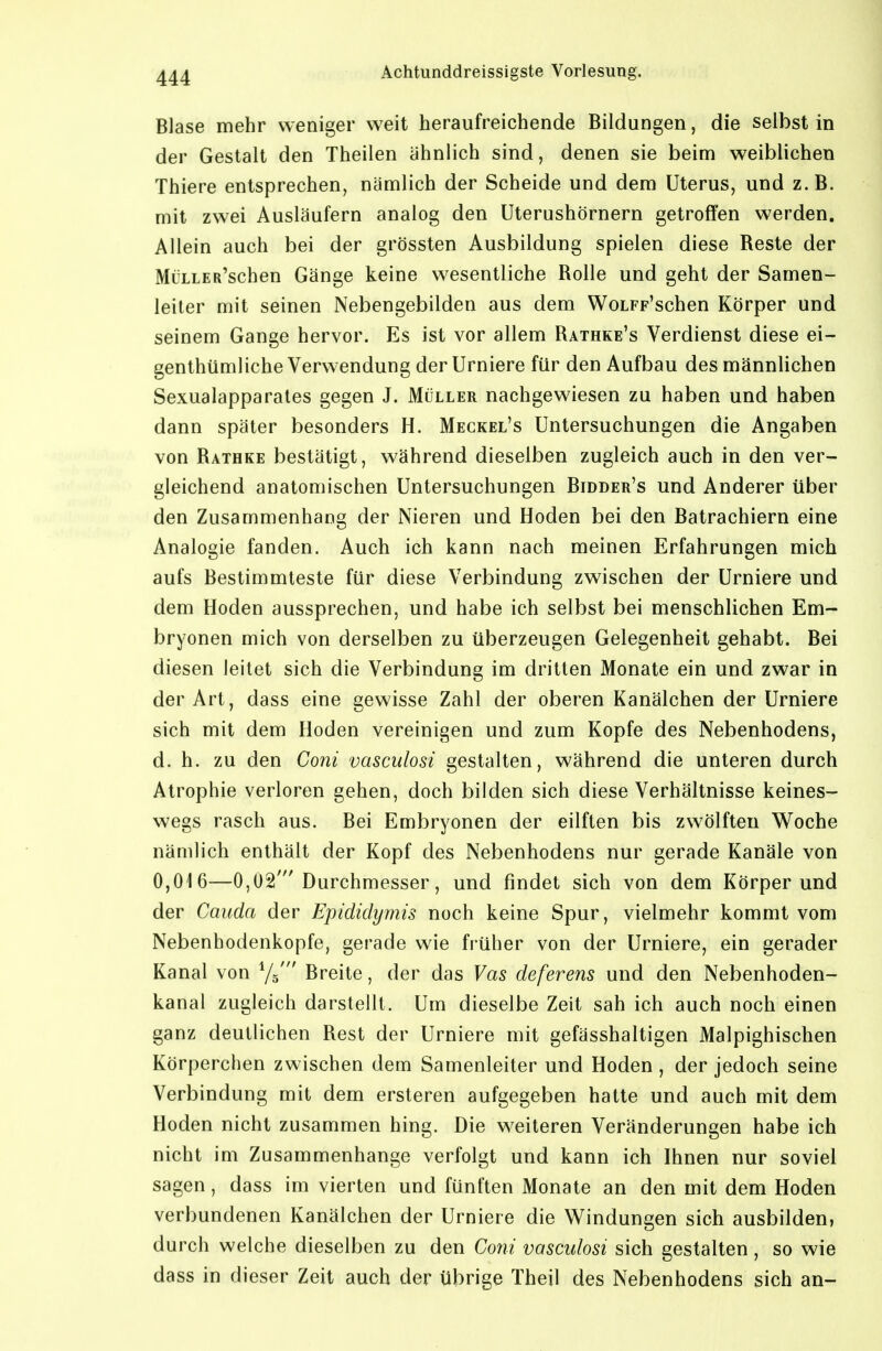 Blase mehr weniger weit heraufreichende Bildungen, die selbst in der Gestalt den Theilen ähnlich sind, denen sie beim weiblichen Thiere entsprechen, nämlich der Scheide und dem Uterus, und z.B. mit zwei Ausläufern analog den Uterushörnern getroffen werden. Allein auch bei der grössten Ausbildung spielen diese Reste der MüLLER'schen Gänge keine wesentliche Rolle und geht der Samen- leiter mit seinen Nebengebilden aus dem WoLFp'schen Körper und seinem Gange hervor. Es ist vor allem Rathke's Verdienst diese ei- genthümliche Verwendung der Urniere für den Aufbau des männlichen Sexualapparates gegen J. Müller nachgewiesen zu haben und haben dann später besonders H. Meckel's Untersuchungen die Angaben von Rathke bestätigt, während dieselben zugleich auch in den ver- gleichend anatomischen Untersuchungen Bidder's und Anderer über den Zusammenhang der Nieren und Hoden bei den Batrachiern eine Analogie fanden. Auch ich kann nach meinen Erfahrungen mich aufs Bestimmteste für diese Verbindung zwischen der Urniere und dem Hoden aussprechen, und habe ich selbst bei menschlichen Em- bryonen mich von derselben zu überzeugen Gelegenheit gehabt. Bei diesen leitet sich die Verbindung im dritten Monate ein und zwar in der Art, dass eine gewisse Zahl der oberen Kanälchen der Urniere sich mit dem Hoden vereinigen und zum Kopfe des Nebenhodens, d. h. zu den Coni vasculosi gestalten, während die unteren durch Atrophie verloren gehen, doch bilden sich diese Verhältnisse keines- wegs rasch aus. Bei Embryonen der eilften bis zwölften W^oche nämlich enthält der Kopf des Nebenhodens nur gerade Kanäle von 0,016—0,02' Durchmesser, und findet sich von dem Körper und der Cauda der Epididymis noch keine Spur, vielmehr kommt vom Nebenhodenkopfe, gerade wie fi-üher von der Urniere, ein gerader Kanal von Ys' Breite, der das Vas deferens und den Nebenhoden- kanal zugleich darstellt. Um dieselbe Zeit sah ich auch noch einen ganz deutlichen Rest der Urniere mit gefässhaltigen Malpighischen Körperchen zwischen dem Samenleiter und Hoden, der jedoch seine Verbindung mit dem ersteren aufgegeben hatte und auch mit dem Hoden nicht zusammen hing. Die weiteren Veränderungen habe ich nicht im Zusammenhange verfolgt und kann ich Ihnen nur soviel sagen, dass im vierten und fünften Monate an den mit dem Hoden verbundenen Kanälchen der Urniere die Windungen sich ausbilden, durch welche dieselben zu den Co7ii vasculosi sich gestalten , so wie dass in dieser Zeit auch der übrige Theil des Nebenhodens sich an-