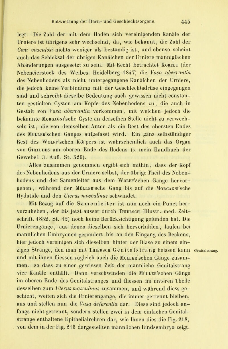 legt. Die Zahl der mit dem Hoden sich vereinigenden Kanäle der ürniere ist übrigens sehr wechselnd, da, wie bekannt, die Zahl der Coni vasculosi nichts weniger als beständig ist, und ebenso scheint auch das Schicksal der übrigen Kanälchen der Urniere mannigfachen Abänderungen ausgesetzt zu sein. Mit Recht betrachtet Kobelt (der Nebeneierstock des Weibes. Heidelberg 1847) die Vasa aberrantia des Nebenhodens als nicht untergegangene Kanälchen der Urniere, die jedoch keine Verbindung mit der Geschlechtsdrüse eingegangen sind und schreibt dieselbe Bedeutung auch gewissen nicht constan- ten gestielten Cysten am Kopfe des Nebenhodens zu, die auch in Gestalt von Vasa aberrantia vorkommen^ mit welchen jedoch die bekannte MoRGAGNi'sche Cyste an derselben Stelle nicht zu verwech- seln ist, die von demselben Autor als ein Rest des obersten Endes des MüLLER'schen Ganges aufgefasst wird. Ein ganz selbständiger Rest des WoLFP'schen Körpers ist wahrscheinlich auch das Organ von GiRALDfes am oberen Ende des Hodens (s. mein Handbuch der Gewebel. 3. Aufl. St. 526). Alles zusammen genommen ergibt sich mithin, dass der Kopf des Nebenhodens aus der Urniere selbst, der übrige Theil des Neben- hodens und der Samenleiter aus dem WoLFp'schen Gange hervor- gehen , während der MüLLER'sche Gang bis auf die MoRGAGNi'sche Hydatide und den Uterus masculinus schwindet. Mit Bezug auf die Samenleiter ist nun noch ein Punct her- vorzuheben , der bis jetzt ausser durch Thiersch (Illustr. med. Zeit- schrift. 1852. St. 12) noch keine Berücksichtigung gefunden hat. Die Urnierengänge, aus denen dieselben sich hervorbilden, laufen bei männlichen Embryonen gesondert bis an den Eingang des Beckens, hier jedoch vereinigen sich dieselben hinter der Blase zu einem ein- zigen Strange, den man mit Thiersch Genitalstrang heissen kann oenitaistrang. und mit ihnen fliessen zugleich auch die MüLLER'schen Gänge zusam- men, so dass zu einer gewissen Zeit der männliche Genitalstrang vier Kanäle enthält. Dann verschwinden die MüLLER'schen Gänge im oberen Ende des Genitalstranges und fliessen im unteren Theile desselben zum Uterus masculinus zusammen, und während diess ge- schieht, weiten sich die Urnierengänge, die immer getrennt bleiben, aus und stellen nun die Vasa deferentia dar. Diese sind jedoch an- fangs nicht getrennt, sondern stellen zwei in dem einfachen Genital- strange enthaltene Epithelialröhren dar, wie Ihnen dies die Fig. 218, von dem in der Fig. 215 dargestellten männlichen Rindsembryo zeigt.