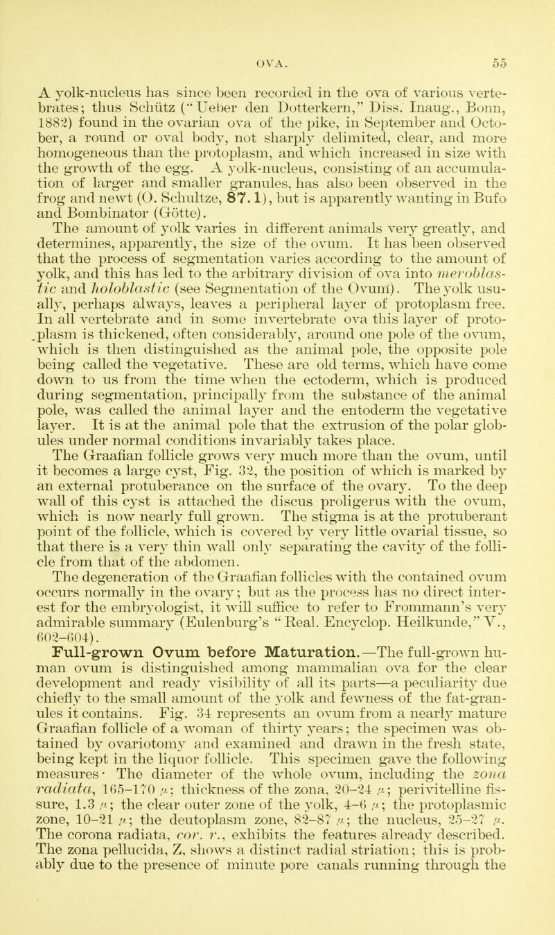 A yolk-nucleus has since been recorded in the ova of various verte- brates; thus Schiitz (Ueber den Dotterkern, Diss. Inaug., Bonn, 1882) found in the ovarian ova of the pike, in September and Octo- ber, a round or oval body, not sharply delimited, clear, and more homogeneous than the protoplasm, and which increased in size with the growth of the egg. A yolk-nucleus, consisting of an accumula- tion of larger and smaller granules, has also been observed in the frog and newt (O. Schultze, 87.1), but is apparently wanting in Bufo and Bombinator (Gotte). The amount of yolk varies in different animals very greatly, and determines, apparently, the size of the ovum. It has been observed that the process of segmentation varies according to the amount of yolk, and this has led to the arbitrary division of ova into meroblas- tic and holoblastic (see Segmentation of the Ovunl). The yolk usu- ally, perhaps always, leaves a peripheral layer of protoplasm free. In all vertebrate and in some invertebrate ova this layer of proto- .plasm is thickened, often considerably, around one pole of the ovum, which is then distinguished as the animal pole, the opposite pole being called the vegetative. These are old terms, which have come down to us from the time when the ectoderm, which is produced during segmentation, principally^ from the substance of the animal pole, was called the animal layer and the entoderm the vegetative layer. It is at the animal pole that the extrusion of the polar glob- ules under normal conditions invariably takes place. The Graafian follicle grows very much more than the ovum, until it becomes a large cyst. Fig. 32, the position of which is marked by an external protuberance on the surface of the ovary. To the deep wall of this cyst is attached the discus proligerus with the ovum, which is now nearly full grown. The stigma is at the protuberant point of the follicle, which is covered by very little ovarial tissue, so that there is a very thin wall only separating the cavity of the folli- cle from that of the abdomen. The degeneration of the Graafian follicles with the contained ovum occurs normally in the ovary; but as the process has no direct inter- est for the embrj'ologist, it wiU suffice to refer to Frommann's very admirable summary (Eulenburg's Real. Encyclop. Heilkunde, Y., 602-604). Full-grown Ovum before Maturation.—^The full-gi-own hu- man ovum is distinguished among mammalian ova for the clear development and ready visibility of all its parts—a peculiarity due chiefly to the small amount of the yolk and fewness of the fat-gran- ules it contains. Fig. 31 represents an ovum from a nearly mature Graafian follicle of a woman of thirty years; the specimen was ob- tained by ovariotomy and examined and drawn in the fresh state, being kept in the liquor follicle. This specimen gave the following measures* The diameter of the whole ovum, including the zona radiata, 165-170 thickness of the zona, 20-21 /j-; peri vitelline fis- sure, 1.3 /J.; the clear outer zone of the yolk, 1-6 /j-; the protoplasmic zone, 10-21 ,a; the deutoplasm zone, 82-87 /j-; the nucleus, 25-27 The corona radiata, cor. r., exhibits the features already described. The zona pellucida, Z, shows a distinct radial striation; this is prob- ably due to the presence of minute pore canals running through the