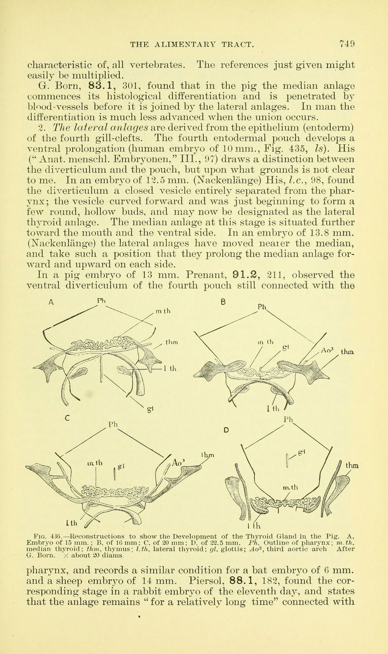 characteristic of, all vertebrates. The references just given might easily be multiplied. G. Born, 83.1, 301, found that in the pig the median anlage commences its histological differentiation and is penetrated by blood-vessels before it is joined by the lateral anlages. In man the differentiation is much less advanced when the union occurs. 2. The lateral anlages are derived from the epithelium (entoderm) of the fourth gill-clefts. The fourth entodermal pouch develops a ventral prolongation (human embryo of 10 mm., Fig, 435, Is). His ( Anat. menschl. Embryonen, III., 97) draws a distinction between the diverticulum and the pouch, but upon what grounds is not clear to me. In an embryo of 12.5 mm. (Nackenlange) His, /.c, 98, found the diverticulum a closed vesicle entirely separated from the phar- ynx ; the vesicle curved forward and was just beginning to form a few round, hollow buds, and may now be designated as the lateral thyroid anlage. The median anlage at this stage is situated further toward the mouth and the ventral side. In an embryo of 13.8 mm. (Nackenlange) the lateral anlages have moved neaier the median, and take such a position that they prolong the median anlage for- ward and upward on each side. In a pig embryo of 13 mm. Prenant, 91.2, 211, observed the ventral diverticulum of the fourth pouch still connected with the Fig. 436.—Reconstructions to show the Development of the Thyroid Gland in the Pig. A, Embryo of 15 mm. ; B, of IG mm; C, of 20 mm; D, of 22.5 mm. P/i, Outline of pharynx; m.th, median thyroid; thm, thymus; l.th, lateral thyroid; gl, glottis; Ao'^^ third aortic arch After G. Born. X about 20 diams. pharynx, and records a similar condition for a bat embryo of 6 mm. and a sheep embr5o of 14 mm. Piersol, 88.1, 182, found the cor- responding stage in a rabbit embryo of the eleventh day, and states that the anlage remains  for a relatively long time connected with