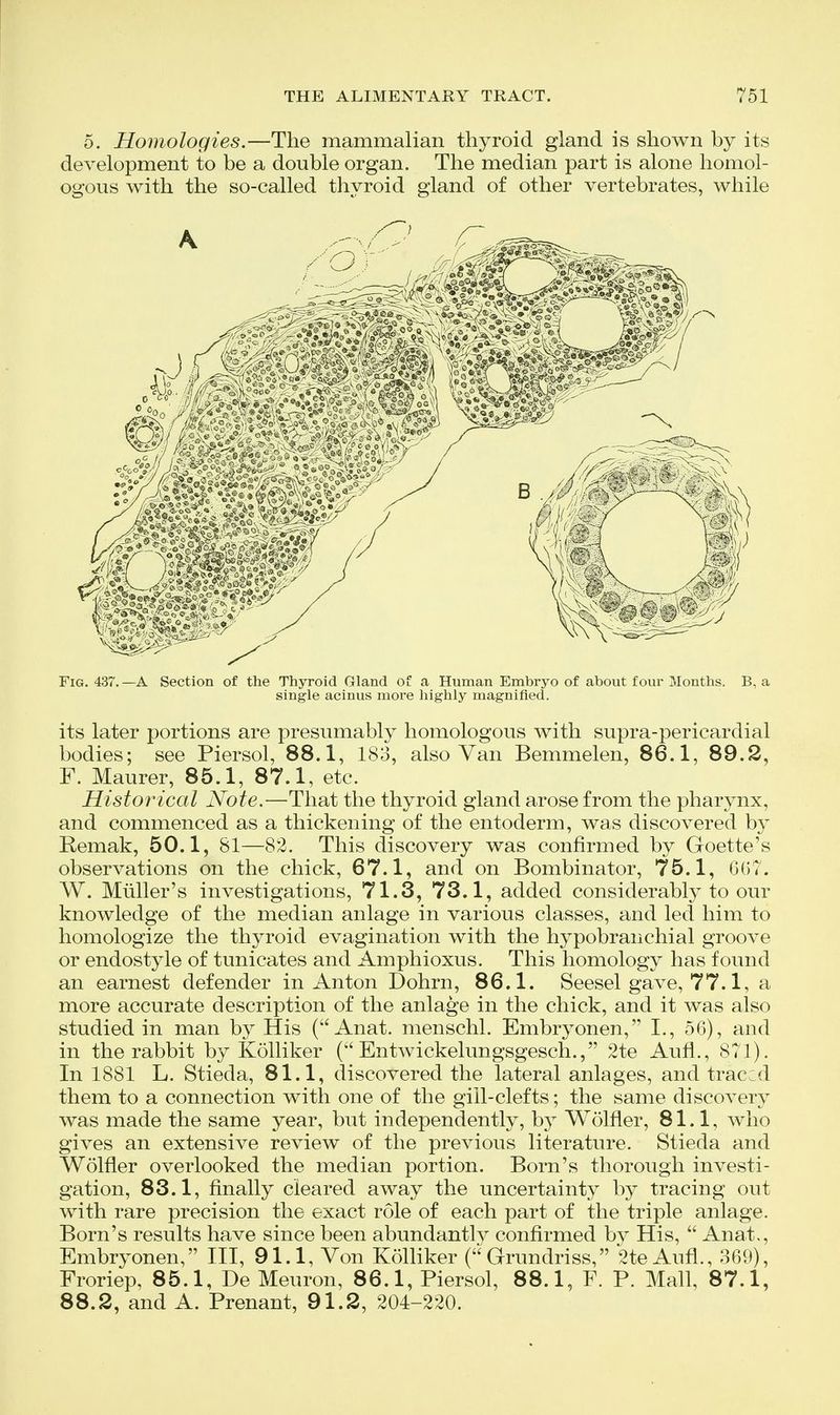 5. Homologies.—The mammalian thyroid gland is shown by its development to be a double organ. The median part is alone homol- ogous with the so-called thyroid gland of other vertebrates, while Fig, 437. —A Section of the Thyroid Gland of a Human Embryo of about four Months. B, a single acinus more highly magnified. its later portions are presumably homologous with supra-pericardial bodies; see Piersol, 88.1, 183, also Van Bemmelen, 86.1, 89.2, F. Maurer, 85.1, 87.1, etc. Historical Note.—That the thyroid gland arose from the pharynx, and commenced as a thickening of the entoderm, was discovered by Remak, 50.1, 81—82. This discovery was confirmed by Goette's observations on the chick, 67.1, and on Bombinator, 75.1, 6()7. W. Miiller's investigations, 71.3, 73.1, added considerably to our knowledge of the median anlage in various classes, and led him to homologize the thyroid evagination with the hypobranchial groove or endostyle of tunicates and Amphioxus. This homology has found an earnest defender in Anton Dohrn, 86.1. Seesel gave, 77.1, a more accurate description of the anlage in the chick, and it was also studied in man by His (''Anat. menschl. Embryonen, I., 56), and in the rabbit by Kolliker Entwickelungsgesch., 2te Aufl., 871). In 1881 L. Stieda, 81.1, discovered the lateral anlages, and tracid them to a connection with one of the gill-clefts; the same discovery was made the same year, but independently, b} Wolfler, 81.1, who gives an extensive review of the previous literature. Stieda and Wolfler overlooked the median portion. Born's thorough investi- gation, 83.1, finally cleared away the uncertainty by tracing out with rare precision the exact role of each part of the triple anlage. Born's results have since been abundantly confirmed hj His,  Anat., Embryonen, III, 91.1, Von Kolliker ( Grundriss, 2te Aufl., 369), Froriep, 85.1, De Meuron, 86.1, Piersol, 88.1, F. P. Mall, 87.1, 88.2, and A. Prenant, 91.2, 204-220.