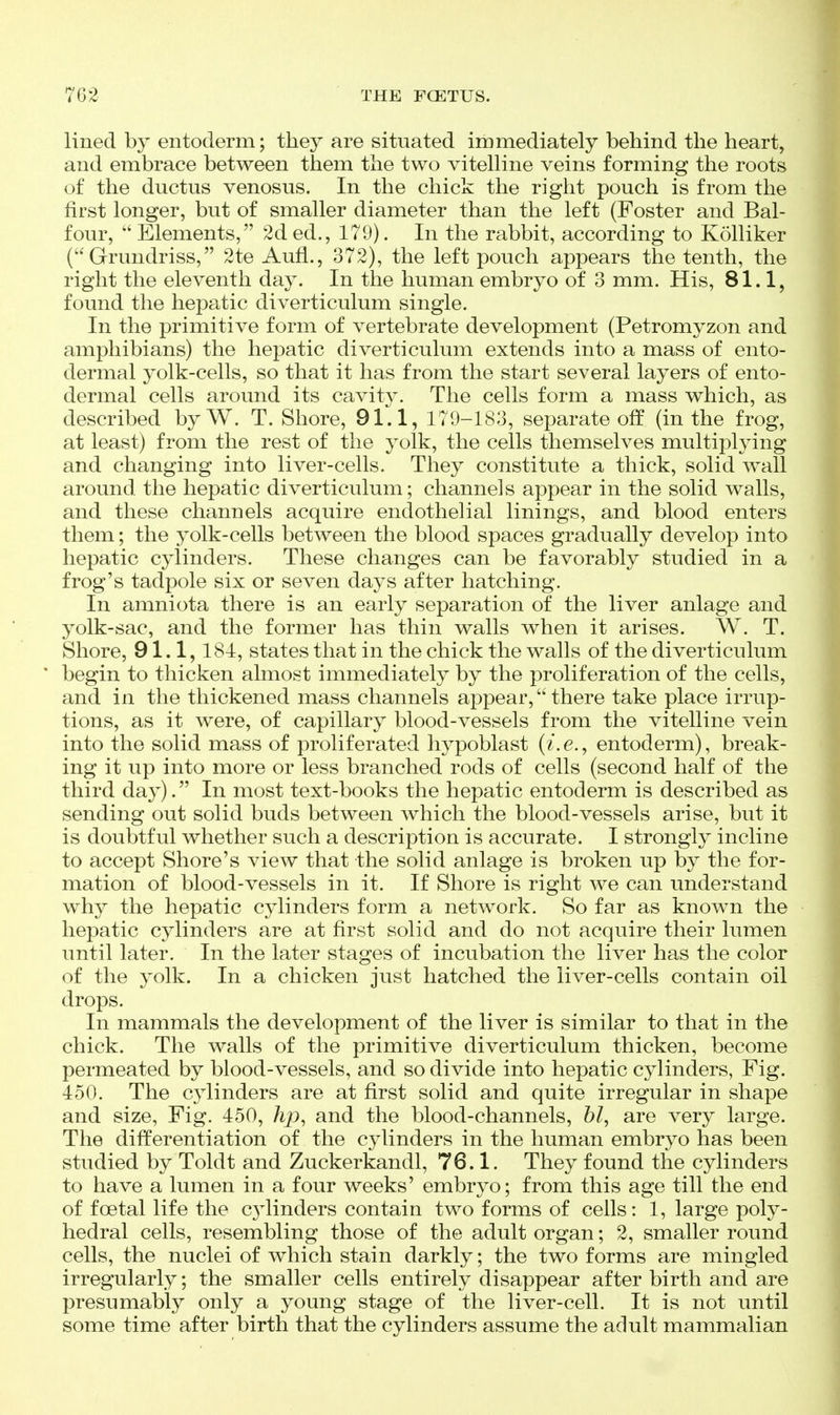 lined by entoderm; they are situated immediately behind the heart, and embrace between them the two vitelline veins forming the roots of the ductus venosus. In the chick the right pouch is from the first longer, but of smaller diameter than the left (Foster and Bal- four,  Elements, 2d ed., 179). In the rabbit, according to Kolliker ( Grundriss, 2te Aufl., 372), the left pouch appears the tenth, the right the eleventh day. In the human embryo of 3 mm. His, 81.1, found the hepatic diverticulum single. In the primitive form of vertebrate development (Petromyzon and amphibians) the hepatic diverticulum extends into a mass of ento- dermal yolk-cells, so that it has from the start several layers of ento- dermal cells around its cavity. The cells form a mass which, as described byW. T. Shore, 91.1, 179-183, separate off (in the frog, at least) from the rest of the yolk, the cells themselves multiplying and changing into liver-cells. They constitute a thick, solid wall around the hepatic diverticulum; channels appear in the solid walls, and these channels acquire endothelial linings, and blood enters them; the yolk-cells between the blood spaces gradually develop into hepatic cylinders. These changes can be favorably studied in a frog's tadpole six or seven days after hatching. In amniota there is an early separation of the liver anlage and yolk-sac, and the former has thin walls when it arises. W. T. Shore, 91.1, 184, states that in the chick the walls of the diverticulum begin to thicken almost immediately by the proliferation of the cells, and in the thickened mass channels appear, there take place irrup- tions, as it were, of capillary blood-vessels from the vitelline vein into the solid mass of proliferated hypoblast {i.e., entoderm), break- ing it up into more or less branched rods of cells (second half of the third day). In most text-books the hepatic entoderm is described as sending out solid buds between which the blood-vessels arise, but it is doubtful whether such a description is accurate. I strongly incline to accept Shore's view that the solid anlage is broken up by the for- mation of blood-vessels in it. If Shore is right we can understand why the hepatic cylinders form a network. So far as known the hepatic cylinders are at first solid and do not acquire their lumen until later. In the later stages of incubation the liver has the color of the yolk. In a chicken just hatched the liver-cells contain oil drops. In mammals the development of the liver is similar to that in the chick. The walls of the primitive diverticulum thicken, become permeated by blood-vessels, and so divide into hepatic cylinders, Fig. 450. The cylinders are at first solid and quite irregular in shape and size, Fig. 450, hp, and the blood-channels, hi, are very large. The differentiation of the cylinders in the human embryo has been studied by Toldt and Zuckerkandl, 76.1. They found the cylinders to have a lumen in a four weeks' embryo; from this age till the end of foetal life the C3dinders contain two forms of cells: 1, large poly- hedral cells, resembling those of the adult organ; 2, smaller round cells, the nuclei of which stain darkly; the two forms are mingled irregularly; the smaller cells entirely disappear after birth and are presumably only a young stage of the liver-cell. It is not until some time after birth that the cylinders assume the adult mammalian