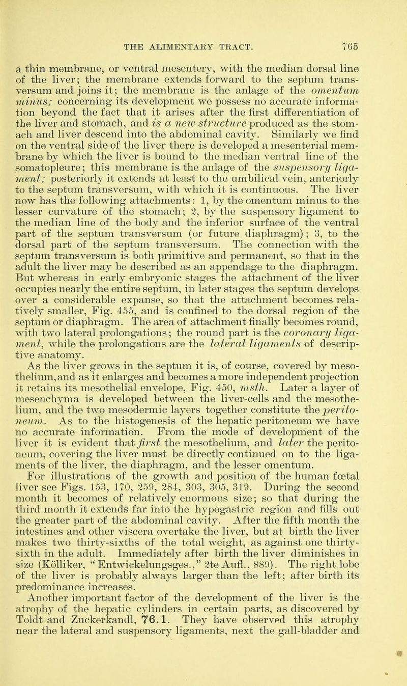 a thin membrane, or ventral mesentery, with the median dorsal line of the liver; the membrane extends forward to the septum trans- versum and joins it; the membrane is the anlage of the omentum minus; concerning its development we possess no accurate informa- tion beyond the fact that it arises after the first differentiation of the liver and stomach, and is a neiv structure produced as the stom- ach and liver descend into the abdominal cavity. Similarly we find on the ventral side of the liver there is developed a mesenterial mem- brane by which the liver is bound to the median ventral line of the somatopleure; this membrane is the anlage of the suspensory liga- ment; posteriorly it extends at least to the umbilical vein, anteriorly to the septum transversum, with which it is continuous. The liver now has the following attachments: 1, by the omentum minus to the lesser curvature of the stomach; 2, by the suspensory ligament to the median line of the body and the inferior surface of the ventral part of the septum transversum (or future diaphragm); 3, to the dorsal part of the septum transversum. The connection with the septum transversum is both primitive and permanent, so that in the adult the liver may be described as an appendage to the diaphragm. But whereas in early embryonic stages the attachment of the liver occupies nearly the entire septum, in later stages the septum develops over a considerable expanse, so that the attachment becomes rela- tively smaller. Fig. 455, and is confined to the dorsal region of the septum or diaphragm. The area of attachment finally becomes round, with two lateral prolongations; the round part is the coronary liga- ment^ while the prolongations are the lateral ligaments of descrip- tive anatomy. As the liver grows in the septum it is, of course, covered by meso- thelium,and as it enlarges and becomes a more independent projection it retains its mesothelial envelope, Fig. 450, msth. Later a layer of mesenchyma is developed between the liver-cells and the mesothe- lium, and the two mesodermic layers together constitute the perito- neiun. As to the histogenesis of the hepatic peritoneum we have no accurate information. From the mode of development of the liver it is evident that first the mesothelium, and later the perito- neum, covering the liver must be directly continued on to the liga- ments of the liver, the diaphragm, and the lesser omentum. For illustrations of the growth and position of the human foetal liver see Figs. 153, 170, 259, 284, 303, 305, 319. During the second month it becomes of relatively enormous size; so that during the third month it extends far into the hypogastric region and fills out the greater part of the abdominal cavity. After the fifth month the intestines and other viscera overtake the liver, but at birth the liver makes two thirty-sixths of the total weight, as against one thirty- sixth in the adult. Immediately after birth the liver diminishes in size (Kolliker,  Entwickelungsges., 2te Aufl., 889). The right lobe of the liver is probably always larger than the left; after birth its predominance increases. Another important factor of the development of the liver is the atrophy of the hepatic cylinders in certain parts, as discovered by Toldt and Zuckerkandl, 76.1. They have observed this atrophy near the lateral and suspensory ligaments, next the gall-bladder and