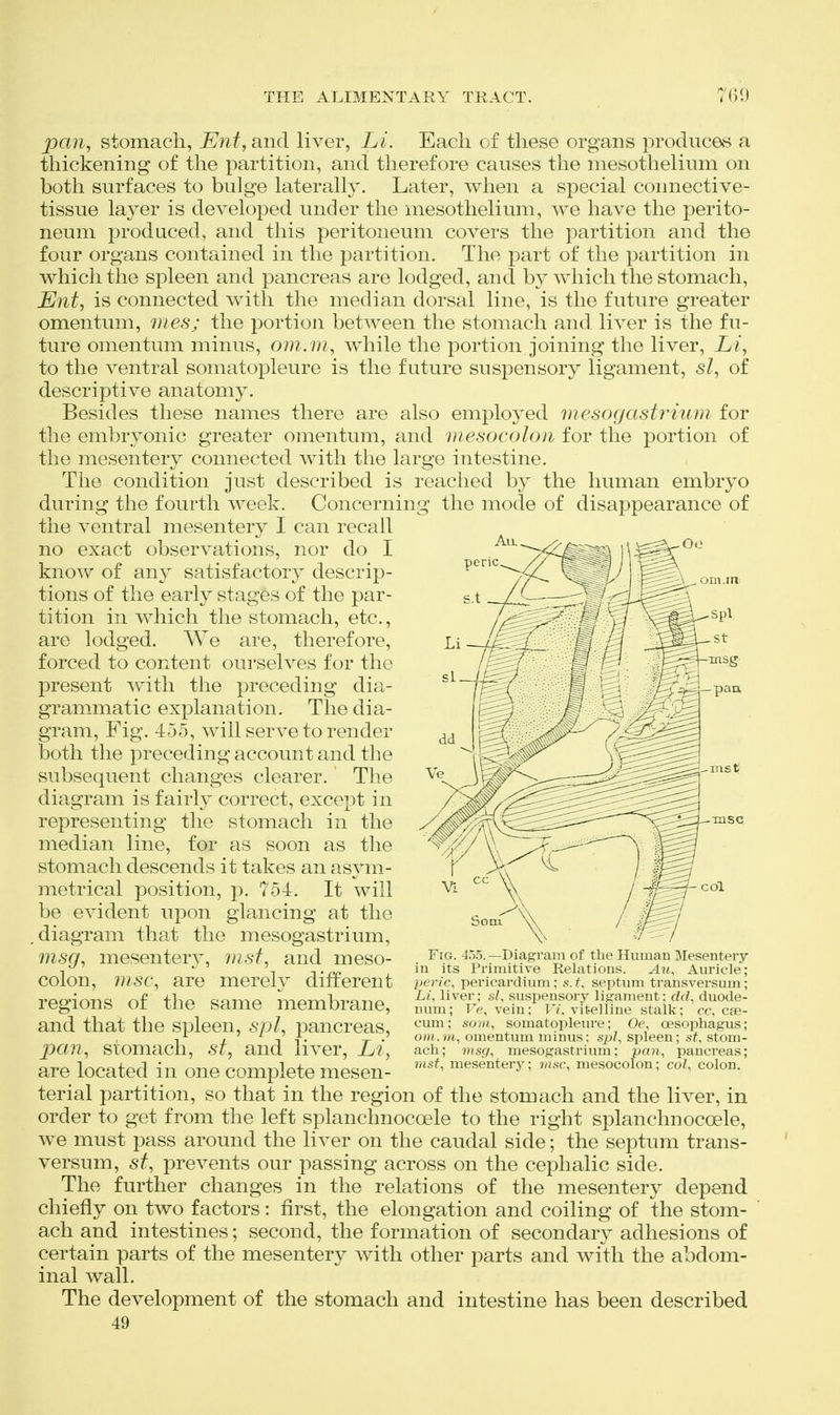 msg —pan. pan^ stomach, Ent, and liver, Li. Each of these organs produces a thickening of the partition, and therefore causes the mesothelium on both surfaces to bulge laterally. Later, when a special connective- tissue layer is developed under the mesothelium, we have the perito- neum produced, and this peritoneum covers the partition and the four organs contained in the partition. The part of the partition in which the spleen and pancreas are lodged, and by which the stomach, Ent^ is connected with the median dorsal line, is the future greater omentum, mes; the portion between the stomach and liver is the fu- ture omentum minus, om. ni, while the portion joining the liver, Li, to the ventral somatopleure is the future suspensory ligament, si, of descriptive anatomy. Besides these names there are also employed mesogastrium for the embryonic greater omentum, and mesocolon for the portion of the mesentery connected with the large intestine. The condition just described is reached by the human embryo during the fourth week. Concerning the mode of disappearance of the ventral mesentery I can recall no exact observations, nor do I know of any satisfactory descrip- tions of the early stages of the par- tition in which the stomach, etc., are lodged. We are, therefore, forced to content ourselves for the present with the preceding dia- grammatic explanation. The dia- gram, Fig. 455, will serve to render both the preceding account and the subsequent changes clearer. The diagram is fairly correct, except in representing the stomach in the median line, for as soon as the stomach descends it takes an asym- metrical position, p. 754. It will be evident upon glancing at the .diagram that the mesogastrium, msg, mesenter}', nisf, and meso- colon, vise, are merely different regions of the same membrane, and that the spleen, spl, pancreas, pan, stomach, st, and liver, Li, are located in one complete mesen- terial partition, so that in the region of the stomach and the liver, in order to get from the left splanchnocoele to the right splanchnocoele, we must pass around the liver on the caudal side; the septum trans- versum, st, prevents our passing across on the cephalic side. The further changes in the relations of the mesentery depend chiefly on two factors: first, the elongation and coiling of the stom- ach and intestines; second, the formation of secondary adhesions of certain parts of the mesentery with other parts and with the abdom- inal wall. The development of the stomach and intestine has been described 49 Fig. -455.—Diagram of the Human Mesentery in its Primitive Relations. Au, Auricle; peric, pericardium; s. t, septum transversum; Li, liver; si, suspensory ligament: dd, duode- num ; Fe, vein; Vi, vitelline stalk; cc, cae- cum; so7n, somatopleure; Oe, oesophagus; om.ni, omentum minus: sjjl, spleen; st, stom- ach; msg, mesogastrium; pan, pancreas; vist, mesentery; msc, mesocolon; col, colon.