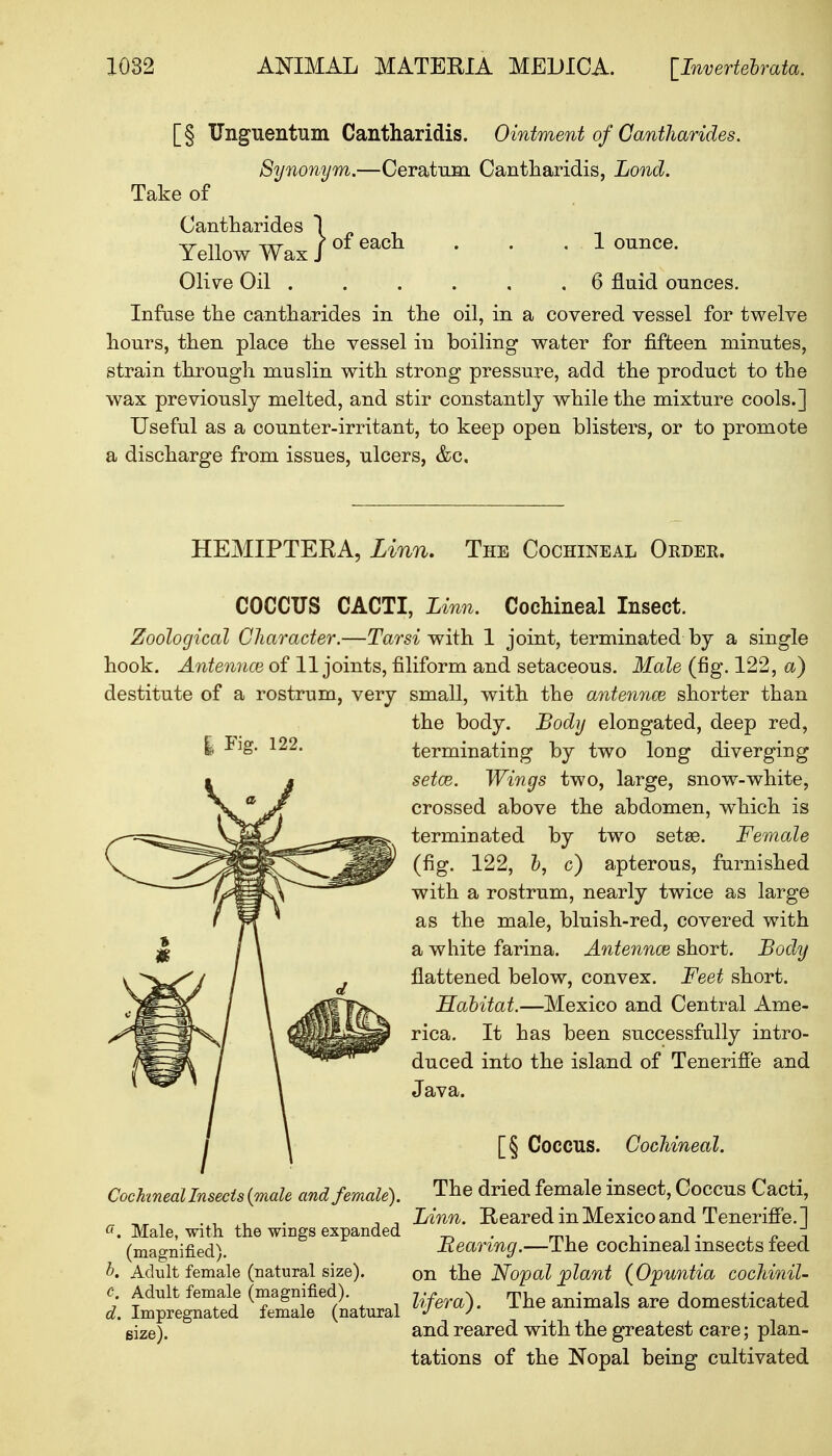 [§ Unguentum Cantharidis. Ointment of Cantharides. Synonym.—Ceratum Cantharidis, Lond. Take of Cantharides Yellow Wax Olive Oil 6 fluid ounces. Infuse the cantharides in the oil, in a covered vessel for twelve hours, then place the vessel in boiling water for fifteen minutes, strain through muslin with strong pressure, add the product to the wax previously melted, and stir constantly while the mixture cools.] Useful as a counter-irritant, to keep open blisters, or to promote a discharge from issues, ulcers, &c. } of each . . ,1 ounce. HEMIPTERA, Linn. The Cochineal Okdek. I Fig. 122. COCCUS CACTI, Linn. Cochineal Insect. Zoological Character.—Tarn with 1 joint, terminated by a single hook. Antennce of 11 joints, filiform and setaceous. Male (fig. 122, a) destitute of a rostrum, very small, with the antennce shorter than the body. Body elongated, deep red, terminating by two long diverging setce. Wings two, large, snow-white, crossed above the abdomen, which is terminated by two setse. Female (fig. 122, 1), c) apterous, furnished with a rostrum, nearly twice as large as the male, bluish-red, covered with a white farina. Antennce short. Body flattened below, convex. Feet short. Habitat.—Mexico and Central Ame- rica. It has been successfully intro- duced into the island of Teneriffe and Java. Cochineal Insects (male and female). a. Male, with the wings expanded (magnified). b. Adult female (natural size). c. Adult female (magnified). d. Impregnated size). female (natural [§ Coccus. Cochineal. The dried female insect, Coccus Cacti, Linn. Reared in Mexico and Teneriffe. ] Bearing.—The cochineal insects feed on the Nopal plant (Opuntia cochinil- lifera). The animals are domesticated and reared with the greatest care; plan- tations of the Nopal being cultivated