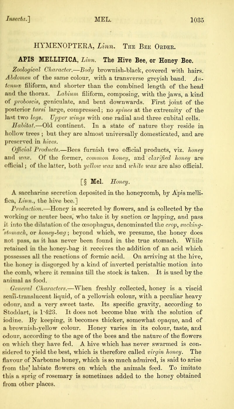 HYMENOPTEKA, Linn. The Bee Order. APIS MELLIFICA, Linn. The Hive Bee, or Honey Bee. Zoological Character.—Body brownish-black, covered with hairs. Ahdomen of the same colour, with a transverse greyish band. An- tenna} filiform, and shorter than the combined length of the head and the thorax. Labium filiform, composing, with the jaws, a kind of proboscis, geniculate, and bent downwards. First joint of the posterior tarsi large, compressed; no spines at the extremity of the last two legs. Upper vnngs with one radial and three cubital cells. Habitat.—Old continent. In a state of nature they reside in hollow trees ; but they are almost universally domesticated, and are preserved in hives. Official Products.—Bees furnish two official products, viz. honey and wax. Of the former, common honey, and clarified honey are official; of the latter, both yellow wax and white wax are also official. [§ Mel. Honey. A saccharine secretion deposited in the honeycomb, by Apis melli- fica, Linn., the hive bee.] Production.—Honey is secreted by flowers, and is collected by the working or neuter bees, who take it by suction or lapping, and pass it into the dilatation of the oesophagus, denominated the crop, suclcing- stomach, or honey-bag; beyond which, we presume, the honey does not pass, as it has never been found in the true stomach. While retained in the honey-bag it receives the addition of an acid which possesses all the reactions of formic acid. On arriving at the hive, the honey is disgorged by a kind of inverted peristaltic motion into the comb, where it remains till the stock is taken. It is used by the animal as food. General Characters.—When freshly collected, honey is a viscid semi-translucent liquid, of a yellowish colour, with a peculiar heavy odonr, and a very sweet taste. Its specific gravity, according to Stoddart, is 1*423. It does not become blue with the solution of iodine. By keeping, it becomes thicker, somewhat opaque, and of a brownish-yellow colour. Honey varies in its colour, taste, and odour, according to the age of the bees and the nature of the flowers on which they have fed. A hive which has never swarmed is con- sidered to yield the best, which is therefore called virgin honey. The flavour of Narbonne honey, which is so much admired, is said to arise from the' labiate flowers on which the animals feed. To imitate this a sprig of rosemary is sometimes added to the honey obtained from other places.