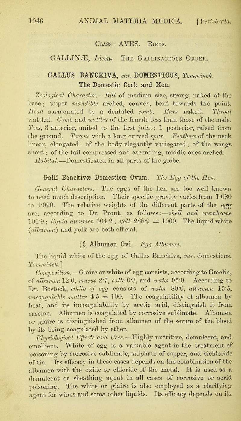 Class: AVES. Birds. GrALLIN/E, Lirw. The Gallinaceous Order. GrALLTJS BAKCXXYA, var. BOMESTICUS, Temmimh. The Domestic Cock and Hen. Zoological Character.—Bill of medium size, strong, naked at the base ; upper mandible arched, convex, bent towards the point. Head surmounted by a dentated comb. Ears naked. Throat wattled. Comb and ivattles of the female less than those of the male. Toes, 3 anterior, united to the first joint; 1 posterior, raised from the ground. Tarsus with a long curved spur. Feathers of the neck linear, elongated: of the body elegantly variegated; of the wings short; of the tail compressed and ascending, middle ones arched. Habitat.—Domesticated in all parts of the globe. Galli Banckivse Domesficse Ovum. The Egg of the Hen. General Characters.—The eggs of the hen are too well known io need much description. Their specific gravity varies from 1*080 to 1*090. The relative weights of the different parts of the egg are, according to Dr. Prout, as follows:—shell and membrane 106-9 ; liquid albumen 604*2 ; yolk 288*9 = 1000. The liquid white [albumen) and yulk are both official. [§ Albumen Ovi. Egg Album-en. The liquid white of the egg of Gallus Banckiva, var. domestieus, Temrn/mck.] Composition.—Glaire or white of egg consists, according to Gmelin, of albumen 12*0, mucus 2*7, salts 0*3, and water 85*0. According to Dr. Bostock, white of egg consists of water 80*0, albumen 15*o, uncoagulable -matter 4*5 = 100. The coagulability of albumen by heat, and its incoagulability by acetic acid, distinguish it from casein e. Albumen is coagulated by corrosive sublimate. Albumen or glaire is distinguished from albumen of the serum of the blood by its being coagulated by ether. Physiological Effects and Uses.—Highly nutritive, demulcent, and emollient. White of egg is a valuable agent in the treatment of poisoning by coirosive sublimate, sulphate of copper, and bichloride of tin. Its efficacy in these cases depends on the combination of the albumen with the oxide or chloride of the metal. It is used as a demulcent or sheathing agent in all cases of corrosive or acrid poisoning. The white or glaire is also employed as a clarifying agent for wines and some other liquids. Its efficacy depends on its