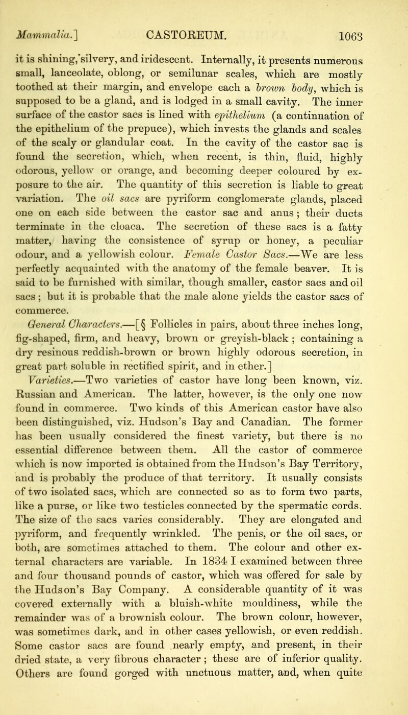 it is shining/silvery, and iridescent. Internally, it presents numerous small, lanceolate, oblong, or semilunar scales, which are mostly toothed at their margin, and envelope each a brown body, which is supposed to be a gland, and is lodged in a small cavity. The inner surface of the castor sacs is lined with epithelium (a continuation of the epithelium of the prepuce), which invests the glands and scales of the scaly or glandular coat. In the cavity of the castor sac is found the secretion, which, when recent, is thin, fluid, highly odorous, yellow or orange, and becoming deeper coloured by ex- posure to the air. The quantity of this secretion is liable to great variation. The oil sacs are pyriform conglomerate glands, placed one on each side between the castor sac and anus ; their ducts terminate in the cloaca. The secretion of these sacs is a fatty matter, having the consistence of syrup or honey, a peculiar odour, and a yellowish colour. Female Castor Sacs.—We are less perfectly acquainted with the anatomy of the female beaver. It is said to be furnished with similar, though smaller, castor sacs and oil sacs; but it is probable that the male alone yields the castor sacs of commerce. General Characters.—[§ Follicles in pairs, about three inches long, fig-shaped, firm, and heavy, brown or greyish-black ; containing a dry resinous reddish-brown or brown highly odorous secretion, in great part soluble in rectified spirit, and in ether.] Varieties.—Two varieties of castor have long been known, viz. Russian and American. The latter, however, is the only one now found in commerce. Two kinds of this American castor have also been distinguished, viz. Hudson's Bay and Canadian. The former has been usually considered the finest variety, but there is no essential difference between them. All the castor of commerce which is now imported is obtained from the Hudson's Bay Territory, and is probably the produce of that territory. It usually consists of two isolated sacs, which are connected so as to form two parts, like a purse, or like two testicles connected by the spermatic cords. The size of the sacs varies considerably. They are elongated and pyriform, and frequently wrinkled. The penis, or the oil sacs, or both, are sometimes attached to them. The colour and other ex- ternal characters are variable. In 1834 I examined between three and four thousand pounds of castor, which was offered for sale by the Hudson's Bay Company. A considerable quantity of it was covered externally with a bluish-white mouldiness, while the remainder was of a brownish colour. The brown colour, however, was sometimes dark, and in other cases yellowish, or even reddish. Some castor sacs are found nearly empty^ and present, in their dried state, a very fibrous character ; these are of inferior quality. Others are found gorged with unctuous matter, aud, when quite