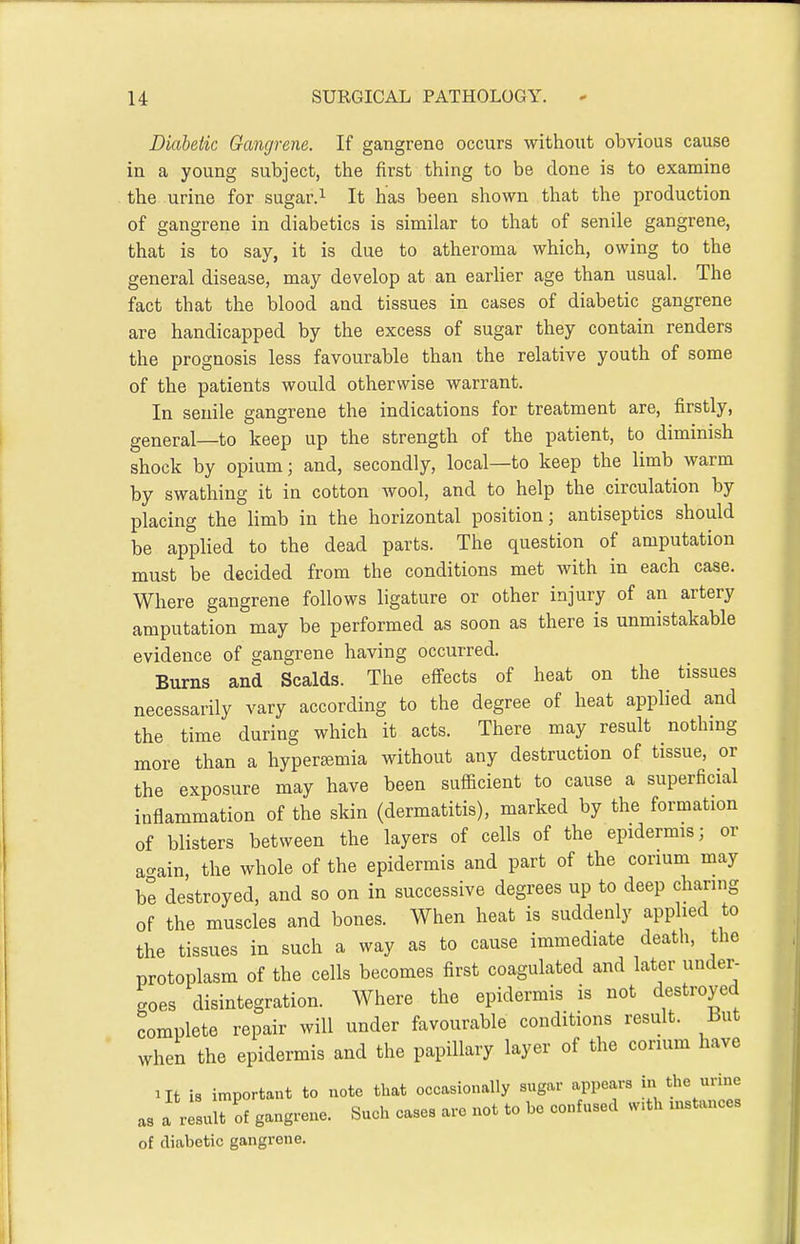 Diabetic Gangrene. If gangrene occurs without obvious cause in a young subject, the first thing to be done is to examine the urine for sugar.^ It has been shown that the production of gangrene in diabetics is similar to that of senile gangrene, that is to say, it is due to atheroma which, owing to the general disease, may develop at an earlier age than usual. The fact that the blood and tissues in cases of diabetic gangrene are handicapped by the excess of sugar they contain renders the prognosis less favourable than the relative youth of some of the patients would otherwise warrant. In senile gangrene the indications for treatment are, firstly, general—to keep up the strength of the patient, to diminish shock by opium; and, secondly, local—to keep the limb warm by swathing it in cotton wool, and to help the circulation by placing the limb in the horizontal position; antiseptics should be applied to the dead parts. The question of amputation must be decided from the conditions met with in each case. Where gangrene follows ligature or other injury of an artery amputation may be performed as soon as there is unmistakable evidence of gangrene having occurred. Burns and Scalds. The effects of heat on the tissues necessarily vary according to the degree of heat applied and the time during which it acts. There may result nothing more than a hyperemia without any destruction of tissue, or the exposure may have been sufficient to cause a superficial inflammation of the skin (dermatitis), marked by the formation of blisters between the layers of cells of the epidermis; or ao-ain, the whole of the epidermis and part of the corium may be destroyed, and so on in successive degrees up to deep charing of the muscles and bones. When heat is suddenly applied to the tissues in such a way as to cause immediate death, the protoplasm of the cells becomes first coagulated and later under- goes disintegration. Where the epidermis is not destroyed complete repair will under favourable conditions result. But when the epidermis and the papillary layer of the corium have lit is important to note that occasionally sugar appears in the urine as a result of gangrene. Such cases arc not to be confused w>th instances of diabetic gangrene.