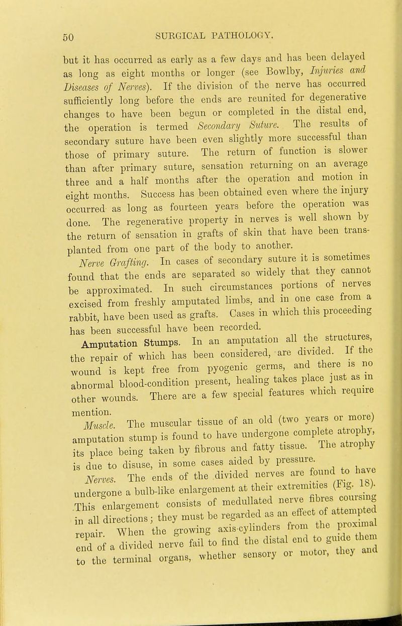 but it has occurred as early as a few days and has been delayed as long as eight months or longer (see Bowlby, Injttries and Diseases of Nerves). If the division of the nerve has occurred sufficiently long before the ends are reunited for degenerative changes to have been begun or completed in the distal end, the operation is termed Secondary Suture. The results of secondary suture have been even slightly more successful than those of primary suture. The return of function is slower than after primary suture, sensation returning on an average three and a half months after the operation and motion in eight months. Success has been obtained even where the injury ocairred as long as fourteen years before the operation was done The regenerative property in nerves is well shown by the return of sensation in grafts of skin that have been trans- planted from one part of the body to another. Nerve Grafting. In cases of secondary suture it is sometimes found that the ends are separated so widely that they cannot be approximated. In such circumstances portions of nerves excised from freshly amputated limbs, and in one case from a rabbit, have been used as grafts. Cases in which this proceeding has been successful have been recorded. Amputation Stumps. In an amputation all the f <;t^^;^' the repair of which has been considered, are divided. If the wound is kept free from pyogenic germs, and there is no abnormal blood-condition present, heding takes place just as m other wounds. There are a few special features which require ^Tw. The muscular tissue of an old (two years or more) amputation stump is found to have undergone ^^-P^^J^^^^^^jJ; its place being taken by fibrous and fatty tissue. The atiophy is due to disuse, in some cases aided by Pressure Nerves. The ends of the divided nerves are found to have undergone a bulb-like enlargement at their extremities (Fig. 18) Th s enlar.^ement consists of medullated nerve fibres coursing •n 1 d:;:ctions; they must be regarded as an effect of att^np^^ repair When the growing axis-cylinders from the p oxin a elof a divided nerve fail to find the distal end ^^^^^^'^^^ to the terminal organs, whether sensory or motoi. they and