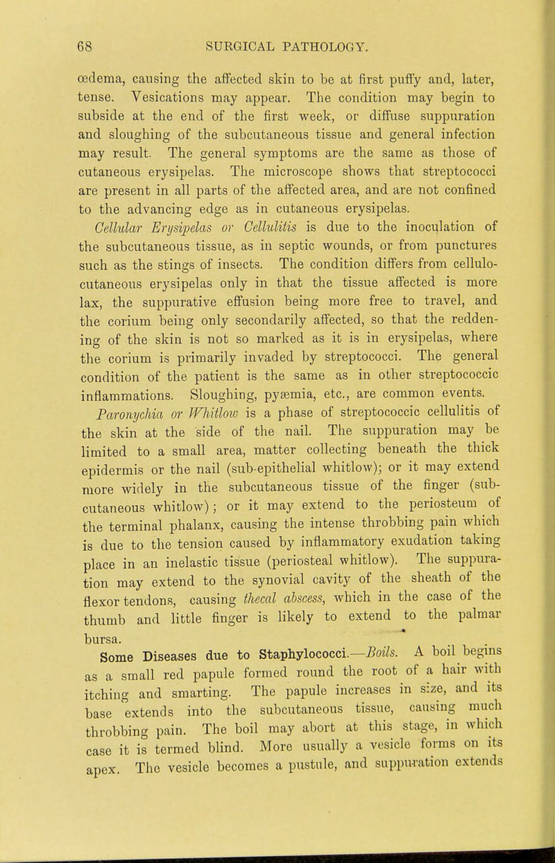 oedema, causing the affected skin to be at first puffy and, later, tense. Vesications may appear. The condition may begin to subside at the end of the first week, or diffuse suppuration and sloughing of the subcutaneous tissue and general infection may result. The general symptoms are the same as those of cutaneous erysipelas. The microscope shows that streptococci are present in all parts of the affected area, and are not confined to the advancing edge as in cutaneous erysipelas. Cellular Erysipelas or Cellulitis is due to the inoculation of the subcutaneous tissue, as in septic wounds, or from punctures such as the stings of insects. The condition diflFers from cellulo- cutaneous erysipelas only in that the tissue affected is more lax, the suppurative effusion being more free to travel, and the corium being only secondarily affected, so that the redden- ing of the skin is not so marked as it is in erysipelas, where the corium is primarily invaded by streptococci. The general condition of the patient is the same as in other streptococcic inflammations. Sloughing, pyaemia, etc., are common events. Paronychia or WhMow is a phase of streptococcic cellulitis of the skin at the side of the nail. The suppuration may be limited to a small area, matter collecting beneath the thick epidermis or the nail (sub-epithelial whitlow); or it may extend more widely in the subcutaneous tissue of the finger (sub- cutaneous whitlow); or it may extend to the periosteum of the terminal phalanx, causing the intense throbbing pain which is due to the tension caused by inflammatory exudation taking place in an inelastic tissue (periosteal whitlow). The suppura- tion may extend to the synovial cavity of the sheath of the flexor tendons, causing thecal abscess, which in the case of the thumb and little finger is likely to extend to the palmar bursa. Some Diseases due to Staphylococci.—5o2/s. A boil begms as a small red papule formed round the root of a hair with itching and smarting. The papule increases in size, and its base extends into the subcutaneous tissue, causing much throbbing pain. The boil may abort at this stage, in which case it is termed blind. More usually a vesicle forms on its apex. The vesicle becomes a pustule, and suppuration extends