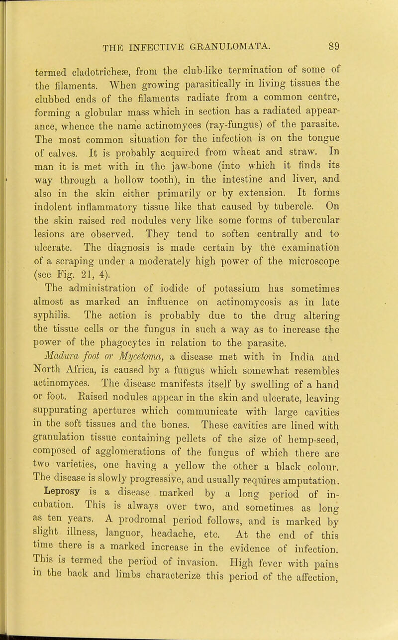 termed claclotricheaj, from the club-like termination of some of the filaments. When growing parasitically in living tissues the clubbed ends of the filaments radiate from a common centre, forming a globular mass which in section has a radiated appear- ance, whence the nanie actinomyces (ray-fungus) of the parasite. The most common situation for the infection is on the tongue of calves. It is probably acquired from wheat and straw. In man it is met with in the jaw-bone (into which it finds its way through a hollow tooth), in the intestine and liver, and also in the skin either primarily or by extension. It forms indolent inflammatory tissue like that caused by tubercle. On the skin raised red nodules very like some forms of tubercular lesions are observed. They tend to soften centrally and to ulcerate. The diagnosis is made certain by the examination of a scraping under a moderately high power of the microscope (see Fig. 21, 4). The administration of iodide of potassium has sometimes almost as marked an influence on actinomycosis as in late syphilis. The action is probably due to the drug altering the tissue cells or the fungus in such a way as to increase the power of the phagocytes in relation to the parasite. Madura foot or Mycetoma, a disease met with in India and North Africa, is caused by a fungus which somewhat resembles actinomyces. The disease manifests itself by swelling of a hand or foot. Raised nodules appear in the skin and ulcerate, leaving suppurating apertures which communicate with large cavities in the soft tissues and the bones. These cavities are lined with granulation tissue containing pellets of the size of hemp-seed, composed of agglomerations of the fungus of which there are two varieties, one having a yellow the other a black colour. The disease is slowly progressive, and usually requires amputation. Leprosy is a disease marked by a long period of in- cubation. This is always over two, and sometimes as long as ten years. A prodromal period follows, and is marked by sh'ght illness, languor, headache, etc. At the end of this time there is a marked increase in the evidence of infection. This is termed the period of invasion. High fever with pains in the back and limbs characterize this period of the affection,