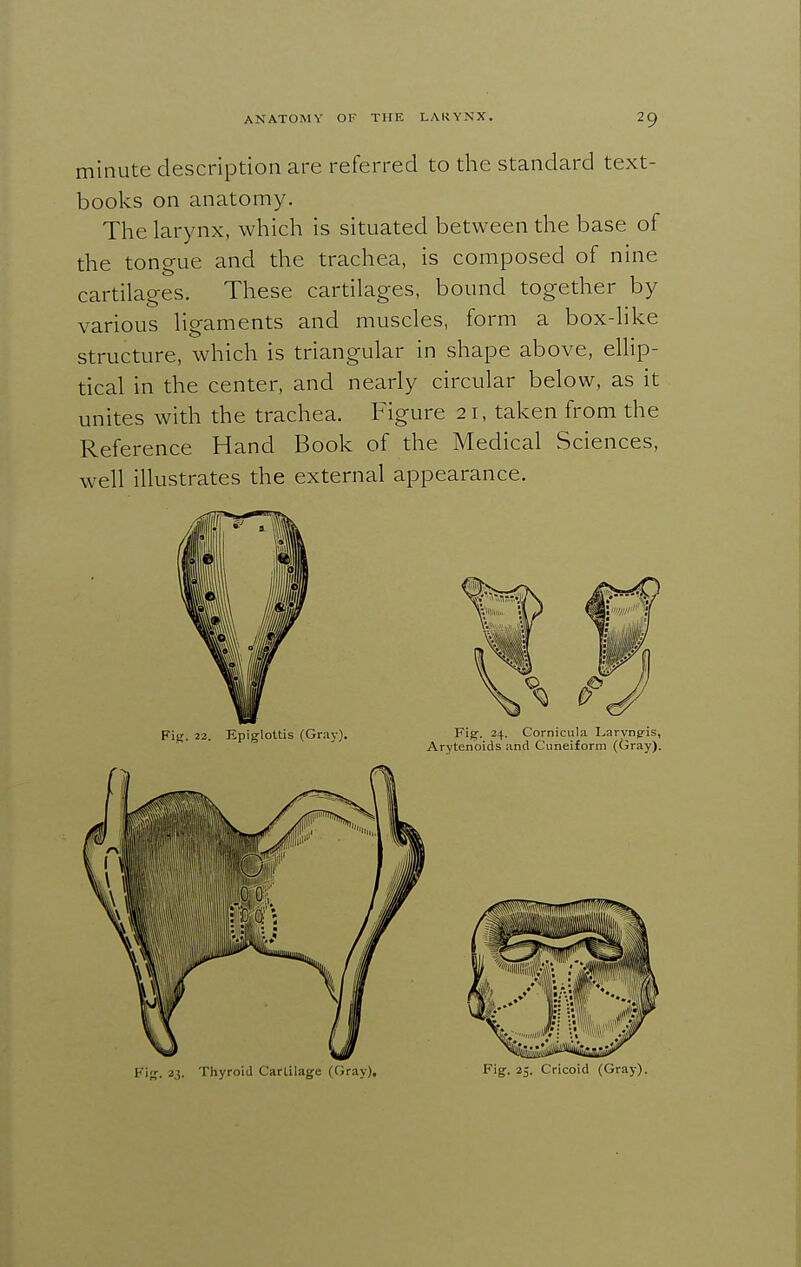 minute description are referred to the standard text- boolsis on anatomy. The larynx, which is situated between the base of the tongue and the trachea, is composed of nine cartilages. These cartilages, bound together by various ligaments and muscles, form a box-like structure, which is triangular in shape above, ellip- tical in the center, and nearly circular below, as it unites with the trachea. Figure 21, taken from the Reference Hand Book of the Medical Sciences, well illustrates the external appearance. Fie. 22. Epiglottis (Grav). Fig-. 24. Cornicula I^arvng-is, Arytenoids and Cuneiform (Gray). F'ff. 23. Thyroid Cartilage (Gray). Fig. 25- Cricoid (Gray).