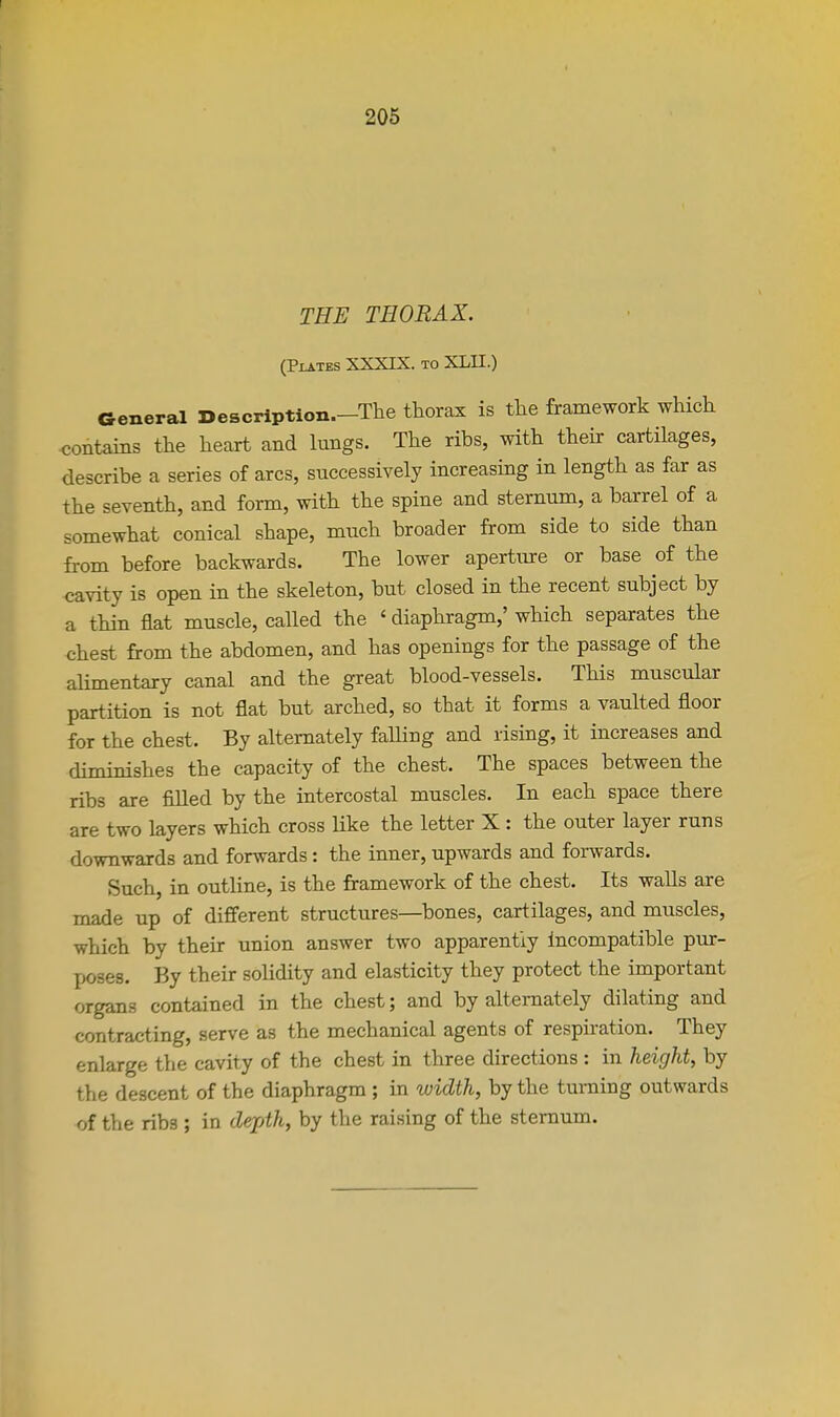 THE THORAX. (PlATES XXXIX. TO XLII.) General Description.-The thorax is the framework which <;oiitains the heart and lungs. The ribs, with their cartilages, describe a series of arcs, successively increasing in length as far as the seventh, and form, with the spine and sternum, a barrel of a somewhat conical shape, much broader from side to side than from before backwards. The lower aperture or base of the cavity is open in the skeleton, but closed in the recent subject by a thin flat muscle, called the ' diaphragm,' which separates the chest from the abdomen, and has openings for the passage of the alimentary canal and the great blood-vessels. This muscular partition is not flat but arched, so that it forms a vaulted floor for the chest. By alternately falling and rising, it increases and diminishes the capacity of the chest. The spaces between the ribs are filled by the intercostal muscles. In each space there are two layers which cross like the letter X: the outer layer runs downwards and forwards: the inner, upwards and forwards. Such, in outline, is the framework of the chest. Its walls are made up of different structures—bones, cartilages, and muscles, which by their union answer two apparently incompatible pur- I>oses. By their solidity and elasticity they protect the important organs contained in the chest; and by alternately dilating and contracting, serve as the mechanical agents of respiration. They enlarge the cavity of the chest in three directions : in height, by the descent of the diaphragm ; in width, by the turning outwards of the ribs ; in dejjth, by the raising of the sternum.
