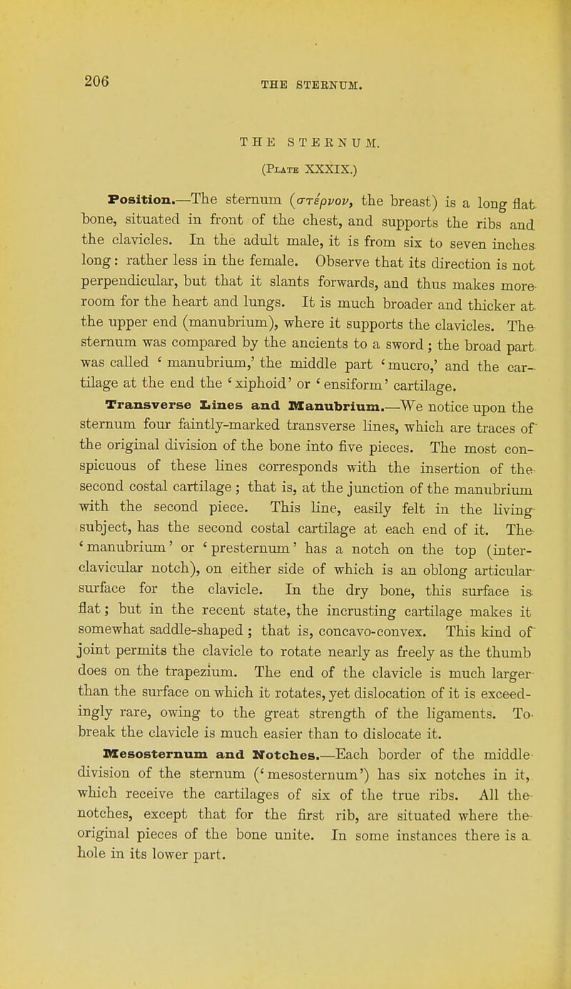 THE STEKNUM. (PlATB XXXIX.) Position.—The sternum {arspvov, the breast) is a long flat bone, situated in front of the chest, and supports the ribs and the clavicles. In the adult male, it is from six to seven inches long: rather less in the female. Observe that its direction is not perpendicular, but that it slants forwards, and thus makes more- room for the heart and lungs. It is much broader and thicker at the upper end (manubrium), where it supports the clavicles. The sternum was compared by the ancients to a sword; the broad part was called ' manubrium,' the middle part ' mucro,' and the car- tilage at the end the ' xiphoid' or ' ensiform' cartilage. Transverse Iiines and manubrium.—^We notice upon the sternum four faintly-marked transverse lines, which are traces of the original division of the bone into five pieces. The most con- spicuous of these lines corresponds with the insertion of the- second costal cartilage; that is, at the junction of the manubrium with the second piece. This line, easily felt in the living subject, has the second costal cartilage at each end of it. The- 'manubrium' or 'presternum' has a notch on the top (inter- clavicular notch), on either side of which is an oblong articular- surface for the clavicle. In the dry bone, this surface is flat; but in the recent state, the incrusting cartilage makes it somewhat saddle-shaped ; that is, concavo-convex. This kind of joint permits the clavicle to rotate nearly as freely as the thumb does on the trapezium. The end of the clavicle is much lai-ger than the surface on which it rotates, yet dislocation of it is exceed- ingly rare, owing to the great strength of the ligaments. To- break the clavicle is much easier than to dislocate it. Mesosternum and Notches.—Each border of the middle- division of the sternum ('mesosternum') has six notches in it, which receive the cartilages of six of the true ribs. All the notches, except that for the first rib, are situated where the- original pieces of the bone unite. In some instances there is a^ hole in its lower part.