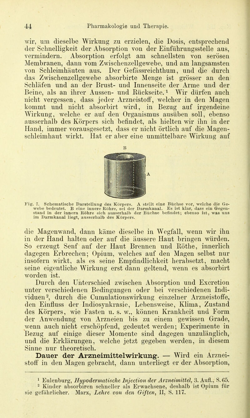 wir, um dieselbe Wirkung zu erzielen, die Dosis, entsprechend der Schnelligkeit der Absorption von der Einführungsstelle aus, vermindern. Absorption erfolgt am schnellsten von serösen Membranen, dann vom Zwischenzellgewebe, und am langsamsten von Schleimhäuten aus. Der Gefässreichthum, und die durch das Zwischenzellgewebe absorbirte Menge ist grösser an den Schläfen und an der Brust- und Innenseite der Arme und der Beine, als an ihrer Aussen- und Rückseite. ^ Wir dürfen auch nicht vergessen, dass jeder Arzneistoff, welcher in den Magen kommt und nicht absorbirt wird, in Bezug auf irgendeine Wirkung, welche er auf den Organismus ausüben soll, ebenso ausserhalb des Körpers sich befindet, als hielten wir ihn in der Hand, immer vorausgesetzt, dass er nicht örtlich auf die Magen- schleimhaut wirkt. Hat er aber eine unmittelbare Wirkung auf B Fig. 7. Schematische Darstellung des Körpers. A stellt eine Büchse vor, welche die Ge- wehe bedeutet. B eine innere Köhre, sei der Darmkanal. Es ist klar, dass ein Gegen- stand in der Innern Röhre sich ausserhalb der Büchse befindet; ebenso ist, was uns im Darmkanal liegt, ausserhalb des Körpers. die Magenwand, dann käme dieselbe in Wegfall, wenn wir ihn in der Hand halten oder auf die äussere Haut bringen würden. So erzeugt Senf auf der Haut Brennen und Röthe, innerlich dagegen Erbrechen; Opium, welches auf den Magen selbst nur insofern wirkt, als es seine Empfindlichkeit herabsetzt, macht seine eigentliche Wirkung erst dann geltend, wenn es absorbirt worden ist. Durch den Unterschied zwischen Absorption und Excretion unter verschiedenen Bedingungen oder bei verschiedenen Indi- viduen 2, durch die Cumulationswirkung einzelner Arzneistoffe, den Einfluss der Indiosynkrasie, Lebensweise, Klima, Zustand des Körpers, wie Fasten u. s. w., können Krankheit und Form der Anwendung von Arzneien bis zu einem gewissen Grade, wenn auch nicht erschöpfend, gedeutet werden; Experimente in Bezug auf einige dieser Momente sind dagegen unzulänglich, und die Erklärungen, welche jetzt gegeben werden, in diesem Sinne nur theoretisch. Dauer der Arzneimittelwirkung. — Wird ein Arznei- stoff in den Magen gebracht, dann unterliegt er der Absorption, ^ Eulenburg, Hypodermatische Injection der Arzneimittel, 3. Aufl., S. 65. 2 Kinder absorbiren schneller als Erwachsene, deshalb ist Opium für sie gefährlicher. Marx, Lehre von den Giften^ II, S. 117.