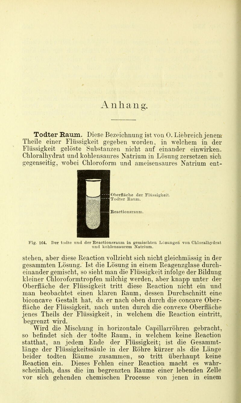 Todter Raum. Diese Bezeichnung ist von 0. Liebreich jenem Theile einer Flüssigkeit gegeben worden, in welchem in der Flüssigkeit gelöste Substanzen nicht auf einander einwirken. Chloralhydrat und kohlensaures Natrium in Lösung zersetzen sich gegenseitig, wobei Chloroform und ameisensaures Natrium ent- Oberfläche der riüssigkeit. Todter Eaiim. Beactionsrauni. Fig. 164. Der todte und der Keactionsraum in gemiscliten Lösungen von Chloralhydrat und kohlensaurem Natrium. stehen, aber diese Reaction vollzieht sich nicht gleichmässig in der gesammten Lösung. Ist die Lösung in einem Reagenzglase durch- einander gemischt, so sieht man die Flüssigkeit infolge der Bildung kleiner Chloroformtropfen milchig werden, aber knapp unter der Oberfläche der Flüssigkeit tritt diese Reaction nicht ein und man beobachtet einen klaren Raum, dessen Durchschnitt eine biconcave Gestalt hat, da er nach oben durch die concave Ober- fläche der Flüssigkeit, nach unten durch die convexe Oberfläche jenes Theils der Flüssigkeit, in welchem die Reaction eintritt, begrenzt wird. Wird die Mischung in horizontale Capillarröhren gebracht, so befindet sich der todte Raum, in welchem keine Reaction statthat, an jedem Ende der Flüssigkeit; ist die Gesammt- länge der Flüssigkeitssäule in der Röhre kürzer als die Länge beider todten Räume zusammen, so tritt überhaupt keine Reaction ein. Dieses Fehlen einer Reaction macht es wahr- scheinlich, dass die im begrenzten Räume einer lebenden Zelle vor sich gehenden chemischen Processe von jenen in einem