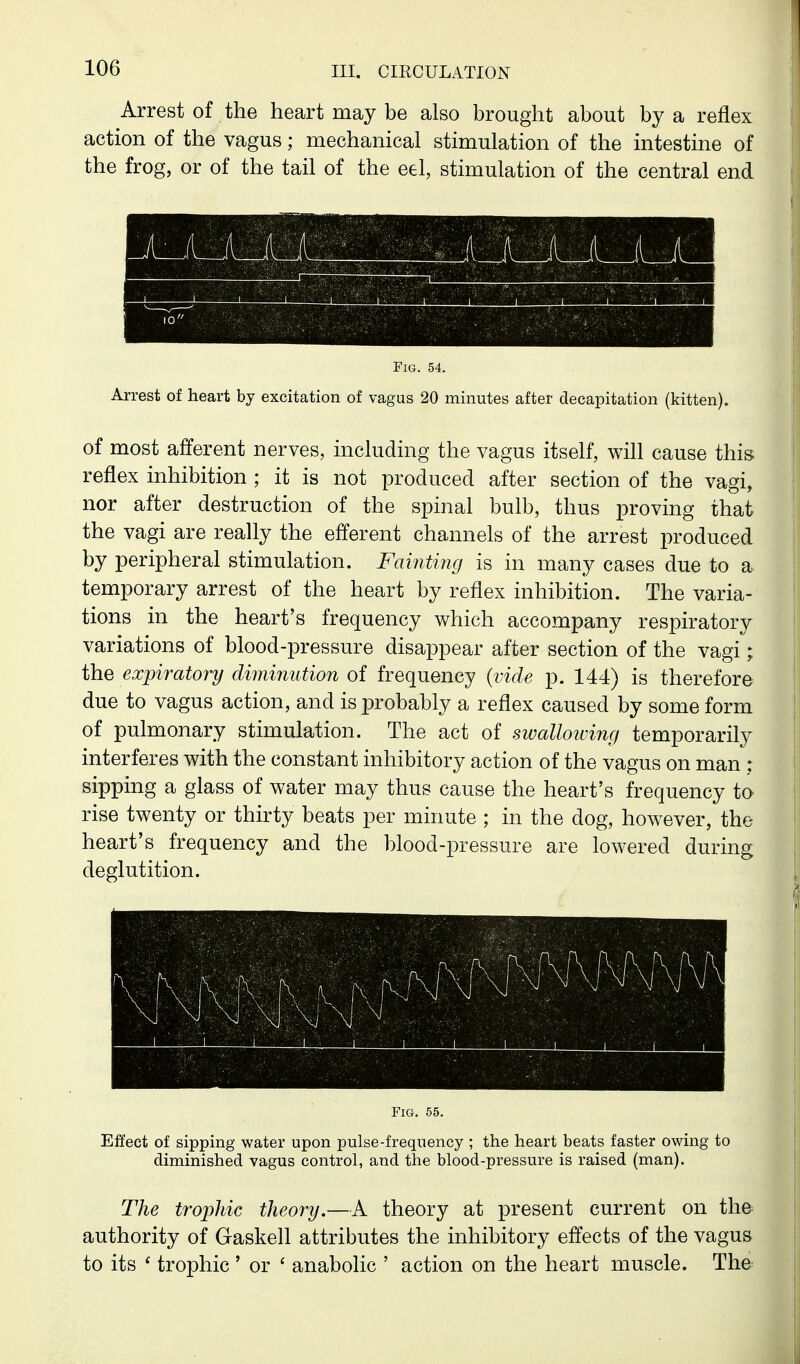 Arrest of the heart may be also brought about by a reflex action of the vagus; mechanical stimulation of the intestine of the frog, or of the tail of the eel, stimulation of the central end Fig. 54. Arrest of heart by excitation of vagus 20 minutes after decapitation (kitten). of most afferent nerves, including the vagus itself, will cause this reflex inhibition ; it is not produced after section of the vagi, nor after destruction of the spinal bulb, thus proving that the vagi are really the efferent channels of the arrest produced by peripheral stimulation. Fainting is in many cases due to a temporary arrest of the heart by reflex inhibition. The varia- tions in the heart's frequency which accompany respiratory variations of blood-pressure disappear after section of the vagi; the expiratory diminution of frequency {vide p. 144) is therefore due to vagus action, and is probably a reflex caused by some form of pulmonary stimulation. The act of swalloiving temporarily interferes with the constant inhibitory action of the vagus on man : sipping a glass of water may thus cause the heart's frequency to rise twenty or thirty beats per minute ; in the dog, however, the heart's frequency and the blood-pressure are lowered during deglutition. Fig. 55. Effect of sipping water upon pulse-frequency ; the heart beats faster owing to diminished vagus control, and the blood-pressure is raised (man). The trophic theory.—A theory at present current on the authority of Gaskell attributes the inhibitory effects of the vagus to its ' trophic ' or ' anabolic ' action on the heart muscle. The