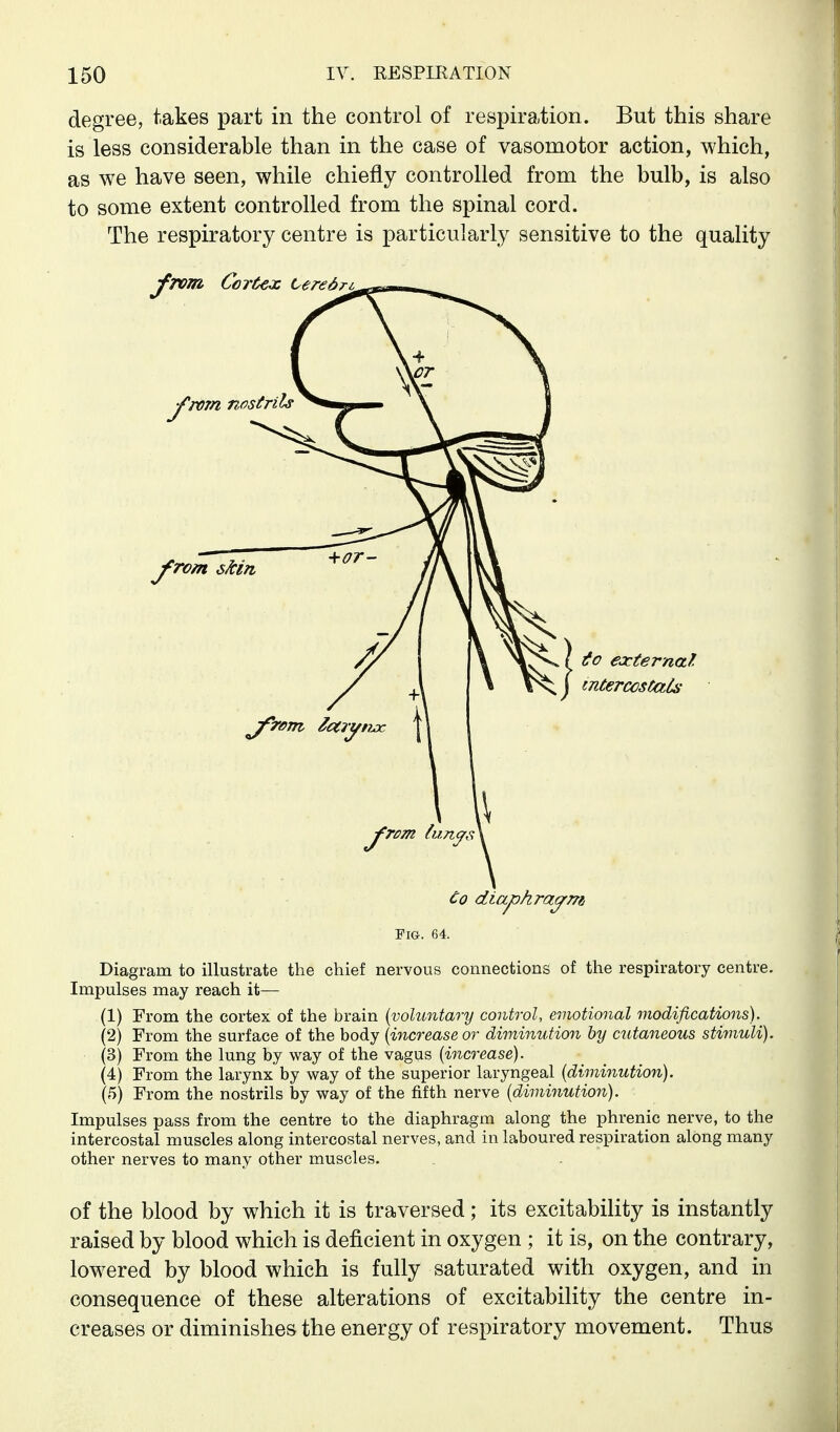 degree, takes part in the control of respiration. But this share is less considerable than in the case of vasomotor action, which, as we have seen, while chiefly controlled from the bulb, is also to some extent controlled from the spinal cord. The respiratory centre is particularly sensitive to the quality ejcternal tnterccstals Co diaphrajm Pig. 64. Diagram to illustrate the chief nervous connections of the respiratory centre. Impulses may reach it— (1) From the cortex of the brain {voluntary control, emotional modifications). (2) From the surface of the body {increase or diminution by c2itaneous stimuli). (3) From the lung by way of the vagus {increase). (4) From the larynx by way of the superior laryngeal {diminution). (5) From the nostrils by way of the fifth nerve {diminution). Impulses pass from the centre to the diaphragm along the phrenic nerve, to the intercostal muscles along intercostal nerves, and in laboured respiration along many other nerves to many other muscles. of the blood by which it is traversed; its excitability is instantly raised by blood which is deficient in oxygen ; it is, on the contrary, lowered by blood which is fully saturated with oxygen, and in consequence of these alterations of excitability the centre in- creases or diminishes the energy of respiratory movement. Thus