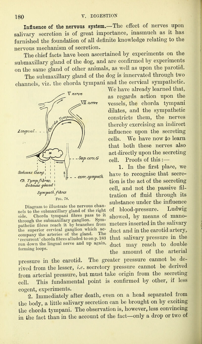 Influence of the nervous system.—The effect of nerves upon saHvary secretion is of great importance, inasmuch as it has furnished the foundation of all definite knowledge relating to the nervous mechanism of secretion. The chief facts have been ascertained by experiments on the submaxillary gland of the dog, and are confirmed by experiments on the same gland of other animals, as well as upon the parotid. The submaxillary gland of the dog is innervated through two channels, viz. the chorda tympani and the cervical sympathetic. We have already learned that,, as regards action upon the vessels, the chorda tympani dilates, and the sympathetic constricts them, the nerves thereby exercising an indirect influence upon the secreting cells. We have now to learn that both these nerves also act directly upon the secreting cell. Proofs of this :— 1. In the first place, we have to recognise that secre- tion is the act of the secreting cell, and not the passive fil- tration of fluid through its substance under the influence of blood-pressure. Ludwig showed, by means of mano- meters inserted in the salivary cemG- Siibrnaoc. Gan^. \ CA. Ti/mp.fiires\ Subrruzx grland I - ceri^. sympath. Sympath.fibres Pig. 78 Diagram to illustrate the nervous chan- nels to the submaxillary gland of the right side. Chorda tympani fibres pass to it through the submaxillary ganglion. Sym- pathetic fibres reach it by branches from the superior cervical ganglion which ac- carotid artery, company the arteries of the gland. The ^. . ^. • j-l,^ ' recurrent' chorda fibres alluded to on p. 183 that salivary pressure m tJie run down the lingual nerve and up again, ^^^^ reach to double ^^v.. may forming loops. ^^^^^^^ pressure in the carotid. The greater pressure cannot be de- rived from the lesser, i.e. secretory pressure cannot be derived from arterial pressure, but must take origin from the secreting cell. This fundamental point is confirmed by other, if less cogent, experiments. 2. Immediately after death, even on a head separated from the body, a little salivary secretion can be brought on by exciting the chorda tympani. The observation is, however, less convincing in the fact than in the account of the fact—only a drop or two of