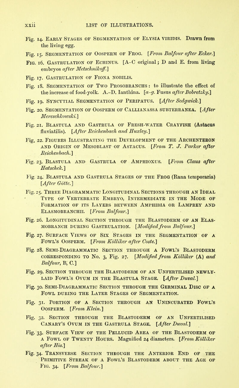 Fig. 14. Early Stages of Segmentation of Elysia viridis. Drawn from the living egg. Fig. 15. Segmentation of Oosperm of Frog. [From Balfotir after Ecker.'] Fig. 16. Gastrulation of Echinus. [A-C original; D and E. from living embryos after Metschnikoff.] Fig. 17. Gastrulation of Fiona nobilis. Fig. 18. Segmentation of Two Prosobranchs : to illustrate the effect of the increase of food-yolk. A.-D. lanthina. \a-g. Fusus after Bobretzki/.] Fig. 19. Syncytial Segmentation of Peripatus. [After Sedgwick.] Fig. 20. Segmentation of Oosperm of Callianassa subterranea. [After Mereschkotvski.] Fig. 21. Blastula and Gastrula of Fresh-avater Crayfish (Astacus fluviatilis). [After Reichenhach and Huxley. ] Fig. 22. Figures Illustrating the Development of the Archenteron AND Origin of Mesoblast of Astacus. [From T. J. Parker after Reichenhach.] Fig. 23. Blastula and Gastrula of Amphioxus. [From Claus after Hatschek.] Fig. 24. Blastula and Gastrula Stages of the Frog (Rana temporaria) [After Gotte.] Fig. 25. Three Diagrammatic Longitudinal Sections through an Ideal Type of Vertebrate Embryo, Intermediate in the Mode of Formation of its Layers between Amphibia or Lamprey and ElasmobrANCHIL [From Balfour.] Fig. 26. Longitudinal Section through the Blastoderm of an Elas- MOBRANCH DURING GASTRULATION. [Modified from Balfour.] Fig. 27. Surface Views of Six Stages in the Segmentation of a Fowl's Oosperm. [From Kdlliker after Coste.] Fig. 28. Semi-Diagrammatic Section through a Fowl's Blastoderm corresponding to No. 3, Fig. 27. [Modified from Kdlliker (A) and Balfour, B, C.] Fig. 29. Section through the Blastoderm of an Unfertilised newly- laid Fowl's Ovum in the Blastula Stage. [After Duval] Fig. 30. Semi-Diagrammatic Section through the Germinal Disc of a Fowl during the Later Stages of Segmentation. Fig. 31. Portion of a Section through an Unincubated Fowl's Oosperm. [From Klein.] Fig. 32. Section through the Blastoderm of an Unfertilised Canary's Ovum in the Gastrula Stage. [After Duval] Fig. 33. Surface View of the Pellucid Area of the Blastoderm of A Fowl of Twenty Hours. Magnified 24 diameters. [From Kdlliker after His.] Fig. 34. Transverse Section through the Anterior End of the Primitive Streak of a Fowl's Blastoderm about the Age of Fig. 34. [From Balfour.]