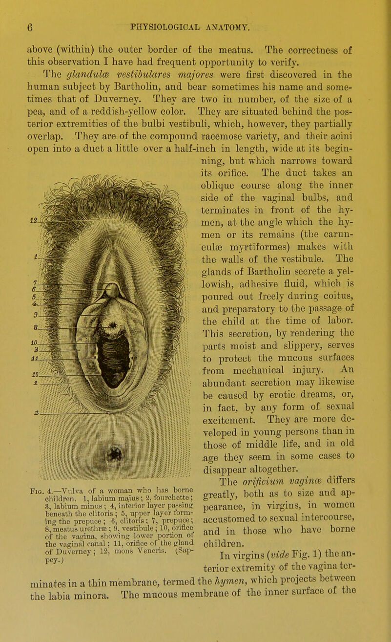 above (within) the outer border of the meatus. The correctness of this observation I have had frequent opportunity to verify. The glandulcB vestibulares majores were first discovered in the human subject by Bartholin, and bear sometimes his name and some- times that of Duverney. They are two in number, of the size of a pea, and of a reddish-yellow color. They are situated behind the pos- terior extremities of the bulbi vestibuli, which, however, they partially overlap. They are of the compound racemose variety, and their acini open into a duct a little over a half-inch in length, wide at its begin- ning, but which narrows toward its orifice. The duct takes an oblique course along the inner side of the vaginal bulbs, and terminates in front of the hy- men, at the angle which the hy- men or its remains (the carun- culge myrtiformes) makes with the walls of the vestibule. The glands of Bartholin secrete a yel- lowish, adhesive fluid, which is poured out freely during coitus, and preparatory to the passage of the child at the time of labor. This secretion, by rendering the parts moist and slippery, serves to protect the mucous surfaces from mechanical injury. An abundant secretion may likewise be caused by erotic dreams, or, in fact, by any form of sexual excitement. They are more de- veloped in young persons than in those of middle life, and in old .age they seem in some cases to disappear altogether. The orificium vagince differs greatly, both as to size and ap- of a woman who has borne 2, fourcliette; 1^ labium maius Fia. 4.—Vulva children. ^ ... 3, labium minus ; 4, interior layer passing beneath the clitoris ; 5, upper layer form- ing the prepuce ; 6, clitoris; 7, prepuce; 8, meatus urethra;; 9, vestibule; 10, orifice of the vairina, showing lower portion of the vaginal canal; 11, orifice of the gland of Duverney; 12, mons Vencri.s. ^Sap- pey.; pearance, m virgins, in Avomen accustomed to sexual intercourse, and in those who have borne children. In virgins {vide Fig. 1) the an- terior extremity of the vagina ter- minates in a thin membrane, termed the hyme7i, which projects between the labia minora. The mucous membrane of the inner surface of the