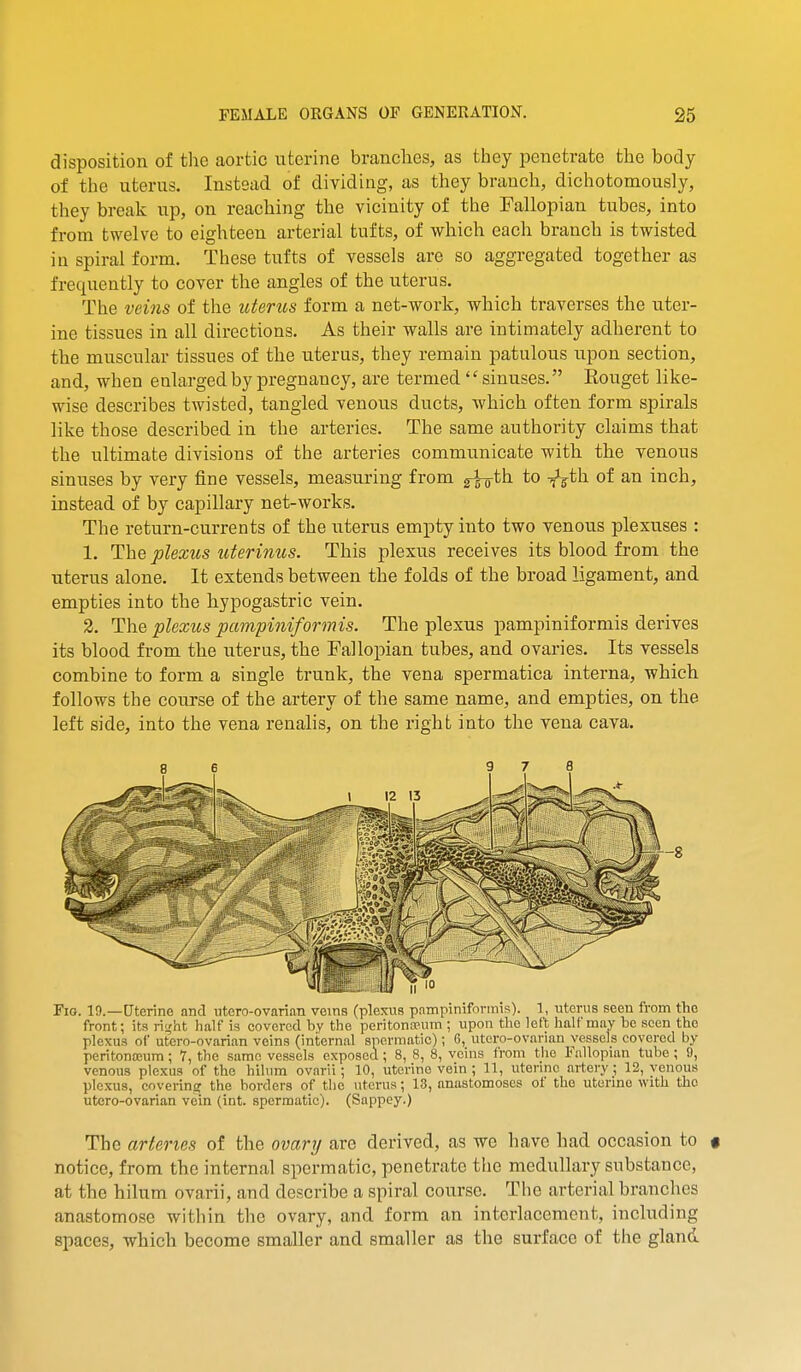 disposition of the aortic uterine brandies, as they penetrate the body of the uterus. Instead of dividing, as they branch, dichotomously, they break up, on reaching the vicinity of the Fallopian tubes, into from twelve to eighteen arterial tufts, of which each branch is twisted in spiral form. These tufts of vessels are so aggregated together as frequently to cover the angles of the uterus. The veins of the icterus form a net-work, which traverses the uter- ine tissues in all directions. As their walls are intimately adherent to the muscular tissues of the uterus, they remain patulous upon section, and, when enlarged by pregnancy, are termed sinuses. Eouget like- wise describes twisted, tangled venous ducts, which often form spirals like those described in the arteries. The same authority claims that the ultimate divisions of the arteries communicate with the venous sinuses by very fine vessels, measuring from gro-^ti to ^^th of an inch, instead of by capillary net-works. The return-currents of the uterus empty into two venous plexuses : 1. The plexus uterinus. This plexus receives its blood from the uterus alone. It extends between the folds of the broad ligament, and empties into the hypogastric vein. 2. The plexus pampiniformis. The plexus pampiniformis derives its blood from the uterus, the Fallopian tubes, and ovaries. Its vessels combine to form a single trunk, the vena spermatica interna, which follows the course of the artery of the same name, and empties, on the left side, into the vena renalis, on the right into the vena cava. Fig. 19.—Uterine and ntero-ovarian veins (plexus pampiniformis). 1, uterus seen from the front; its ri!,'ht half is covered by the peritontpum ; upon the left half may be seen the plexus oi utero-ovarian veins (internal spermatic); 6, utcro-ovarian vessels covered by peritoncDum; 7, the same vessels exposed; 8, 8, 8, veins from the Fallopian tube ; 9, venous plexus of the hiliim ovarii; 10, uterine vein ; 11, uterine artery; 12, venous plexus, coverinff the borders of the uterus; 13, anastomoses of the uterine with the utero-ovarian vein (int. spermatic). (Sappey.) The arteries of the ovartj are derived, as we have had occasion to # notice, from the internal spermatic, penetrate the medullary substance, at the hilum ovarii, and describe a spiral course. The arterial branches anastomose within the ovary, and form an interlacement, including spaces, which become smaller and smaller as the surface of the gland