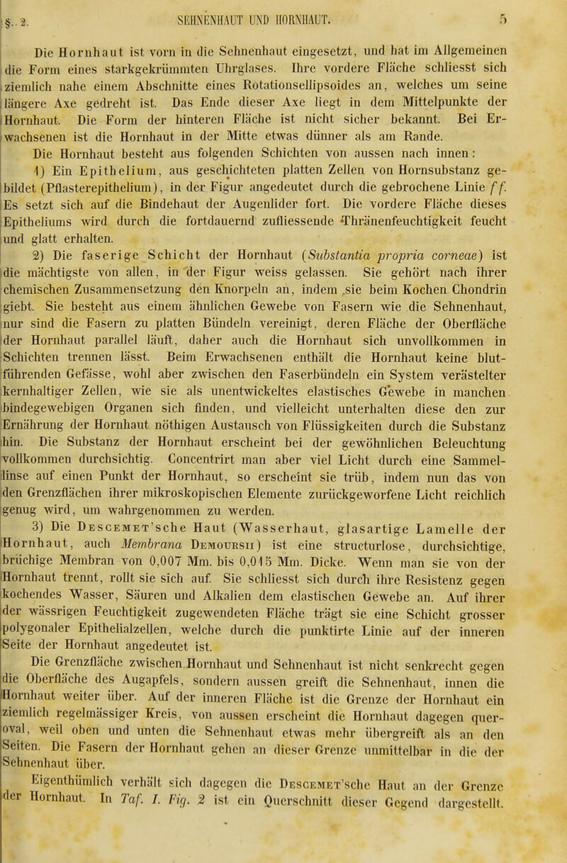 §..2. Die Hornhaut ist vorn in die Sehnenhaut eingesetzt, und hat im Allgemeinen die Form eines starkgekrümmten Uhrglases. Ihre vordere Fläche schlicsst sich ziemlich nahe einem Abschnitte eines Rotationsellipsoides an, welches um seine längere Axe gedreht ist. Das Ende dieser Axe liegt in dem Mittelpunkte der Hornhaut. Die Form der hinteren Fläche ist nicht sicher bekannt. Bei Er- wachsenen ist die Hornhaut in der Mitte etwas dünner als am Rande. Die Hornhaut besteht aus folgenden Schichten von aussen nach innen: \) Ein Epithelium, aus geschichteten platten Zellen von Hornsubstanz ge- bildet (Pflasterepithelium), in der Figur angedeutet durch die gebrochene Linie ff. Es setzt sich auf die Bindehaut der Augenlider fort. Die vordere Fläche dieses Epitheliums wird durch die fortdauernd zufliessende Thränenfeuchtigkeit feucht und glatt erhalten. 2) Die faserige Schicht der Hornliaut {Substantia propria corneae) ist fdie mächtigste von allen, in der Figur weiss gelassen. Sie gehört nach ihrer (Chemischen Zusammensetzung den Knorpeln an, indem ,sie beim Kochen Chondrin [giebt. Sie besteht aus einem ähnlichen Gewebe von Fasern wie die Sehnenhaut, |nur sind die Fasern zu platten Bündeln vereinigt, deren Fläche der Oberfläche |der Hornhaut parallel läuft, daher auch die Hornhaut sich unvollkommen in ■Schichten trennen lässt. Beim Erwachsenen enthält die Hornhaut keine blut- führenden Gefässe, wohl aber zwischen den Faserbündeln ein System verästelter ikernhaltiger Zellen, wie sie als unentwickeltes elastisches G'ewebe in manchen bindegewebigen Organen sich finden, und vielleicht unterhalten diese den zur Ernährung der Hornhaut nöthigen Austausch von Flüssigkeiten durch die Substanz |hin. Die Substanz der Hornhaut erscheint bei der gewöhnlichen Beleuchtung vollkommen durchsichtig. Concentrirt man aber viel Licht durch eine Sammel- Jrnse auf einen Punkt der Hornhaut, so erscheint sie trüb, indem nun das von den Grenzflächen ihrer mikroskopischen Elemente zurückgeworfene Licht reichlich genug wird, um wahrgenommen zu werden. 3) Die DESGEMET'sche Haut (Wasserhaut, glasartige Lamelle der Hornhaut, auch Membrana Demoursii) ist eine structurlose, durchsichtige, brüchige Membran von 0,007 Mm. bis 0,015 Mm. Dicke. Wenn man sie von der iHornhaut trennt, rollt sie sich auf Sie schliesst sich durch ihre Resistenz gegen kochendes Wasser, Säuren und Alkalien dem elastischen Gewebe an. Auf ihrer der wässrigen Feuchtigkeit zugewendeten Fläche trägt sie eine Schicht grosser polygonaler Epithelialzellen, welche durch die punktirte Linie auf der inneren Seite der Hornhaut angedeutet ist. Die Grenzfläche zwischen Hornhaut und Sehnenhaut ist nicht senkrecht gegen die Oberfläche des Augapfels, sondern aussen greift die Sehnenhaut, innen die Hornhaut weiter über. Auf der inneren Fläche ist die Grenze der Hornhaut ein ziemlich regelmässiger Kreis, von aussen erscheint die Hornhaut dagegen quer- oval, weil oben und unten die Sehnenhaut etwas mehr übergreift als an den Seiten. Die Fasern der Hornhaut gehen an dieser Grenze unmittelbar in die der Sehnenhaut über. Eigenthümlich verhält sich dagegen die DESCEMET'schc Haut an der Grenze der Hornhaut. In Taf. I. Fig. 2 ist ein Querschnitt dieser Gegend dargestellt.