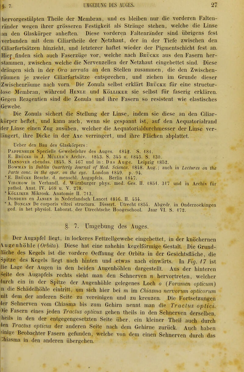 hervorgestülpten Theile der Membran, und es bleiben nur die vorderen Falten- ränder wegen ihrer grösseren Festigkeit als Stränge stehen, welche die Linse lan den Glaskörper anheften. Diese vorderen Faltenränder sind übrigens fest »verbunden mit dem Ciliartheile der Netzhaut, der in der Tiefe zwischen den Ciliarfortsätzen hinzieht, und letzterer haftet wieder der Pigmentschicht fest an. Hier finden sich auch Faserzüge vor, welche nach Brücke aus den Fasern her- ■stammen, zwischen welche die Nervenzellen der Netzhaut eingebettet sind. Diese drängen sich in der Ora sen-ata an den Stellen zusammen, die den Zwischen- räumen je zweier Ciliarfortsätze entsprechen, und ziehen im Grunde dieser Zwischenräume nach vorn. Die Zonula selbst erldärt Brücke für eine structur- llose Membran, während Henle und Kölliker sie selbst für faserig erklären. Gegen Reagentien sind die Zonula und ihre Fasern so resistent wie elastisches Gewebe. Die Zonula sichert die Stellung der Linse, indem sie diese an den Ciliar- Ikörper heftet, und kann auch, wenn sie gespannt ist, auf den Aequatorialrand der Linse einen Zug ausüben, welcher die Aeqiiatorialdurchmesser der Linse ver- längert, ihre Dicke in der Axe verringert, und ihre Flächen abplattet. Ueber den Bau des Glaskörpers: , Pappenheim Specielle Gewebelehre des Auges. ISia. S. 181. E. Brücke in J. Müller's Archiv. 1843. S. 345 u. 1845. S. 130. Hannover ebendas. 1845. S. 467 und in: Das Auge. Leipzig 1852. BowMAN in Dublin Qiiarterlij Journal of Med. Science. 1848. Aug.; auch in Lectures on the Parts conc. in the oper. on the eye. London 1849. p. 94. *E. Brücke Beschr. d. mensclü. Augapfels. Berlin 1847. ViRCHow in Verhandl. d. Würzburger phys. med. Ges. IL 1851. 317 und in Archiv für pathol. Anat. IV. 468 u. V. 278. * Kölliker Mikrosk. Anatomie IL 713. DoNDERs en Jansen in Nederlandsch Lancet 1846. II. 454. *A. DoNCAN De corporis vitrei structura. Dissert. Utrecht 1854. Abgedr. in Onderzoekingen ged. in het physioL Laborat. der Utrechtsche Hoogeschool. Jaar VL S. 172. §. 7. Umgebung des Auges. Der Augapfel liegt, in lockeres Fettzellgewebe eingebettet, in der knöchernen Augenhöhle {Orbita). Diese hat eine nahehin kegelförmige Gestalt. Die Grund- läche des Kegels ist die vordere Oeffiiung der Orbita in der Gesichtsfläche, die 5pitze des Kegels liegt nach hinten und etwas nach einwärts. In Fig. 17 ist die Lage der Augen in den beiden Augenhöhlen dargestellt. Aus der hinteren Seite des Augapfels rechts sieht man den Sehnerven n hervortreten, welcher lurch ein in der Spitze der Augenhöhle gelegenes Loch o {Foramen opticum) n die Schädelhöhle eintritt, um sich hier bei m im Chiasma nervorum opticonm mit dem der anderen Seite zu vereinigen und zu kreuzen. Die Fortsetzungen '1er Sehnerven vom Chiasma bis zum Gehirn nennt man die Tractus optici. Oie Fasern eines jeden Tractus opticus gehen theils in den Sehnerven derselben, heils in den der entgegengesetzten Seite über, ein kleiner Theil auch durch 'len Tractus opticus der anderen Seite nach dem Gehirne zurück. Auch haben iinigc Beobachter Fasern gefunden, welche von dem einen Sehnerven durch das Chiasma in den anderen übergehen.