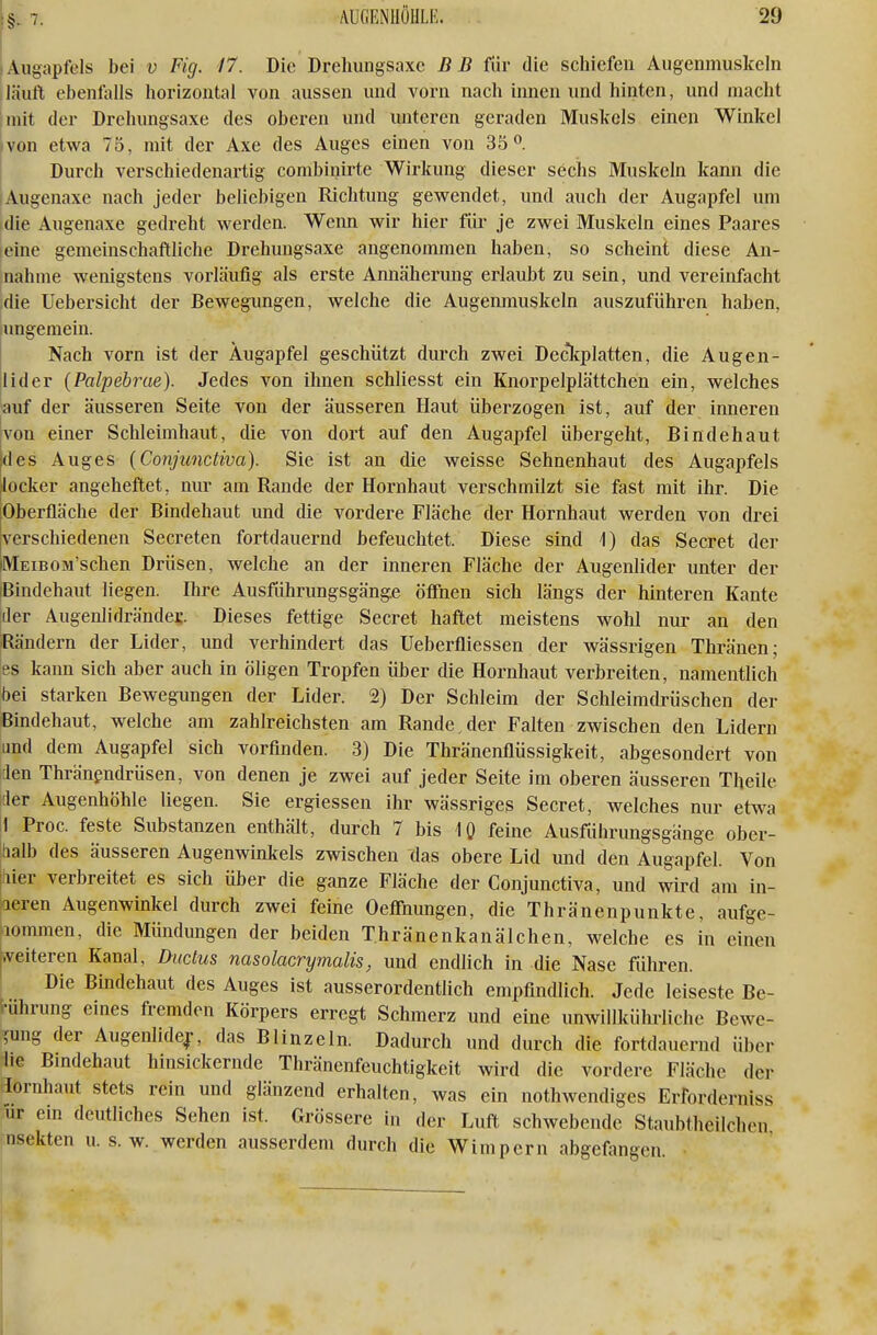 I Augapfels bei v Fig. 17. Die Drehungsaxc B B für die schiefen Augenmuskeln 1 läuft ebenfalls horizontal von aussen und vorn nach innen und hinten, und macht [mit der Drchungsaxe des oberen und luiteren geraden Muskels einen Winkel von etwa 75, mit der Axe des Auges einen von 35 Durch verschiedenartig combinirte Wirkung dieser sechs Muskeln kann die Augenaxe nach jeder beliebigen Richtung gewendet, und auch der Augapfel um idie Augenaxe gedreht werden. Wenn wir hier für je zwei Muskeln eines Paares leine gemeinschaftliche Drehungsaxe angenommen haben, so scheint diese An- nahme wenigstens vorläufig als erste Annäherung erlaubt zu sein, und vereinfacht die Uebersicht der Bewegungen, welche die Augemnuskeln auszuführen haben, ungemein. Nach vorn ist der Äugapfel geschützt durch zwei Decllfplatten, die Augen- lider (Palpebme). Jedes von ihnen schliesst ein Knorpelplättchen ein, welches auf der äusseren Seite von der äusseren Haut überzogen ist, auf der inneren von einer Schleimhaut, die von dort auf den Augapfel übergeht, Bindehaut des Auges [Conjunctiva). Sie ist an die weisse Sehnenhaut des Augapfels locker angeheftet, nur am Rande der Hornhaut verschmilzt sie fast mit ihr. Die Oberfläche der Bindehaut und die vordere Fläche der Hornhaut werden von drei verschiedenen Secreten fortdauernd befeuchtet. Diese sind \) das Secret der tMEiBOM'schen Drüsen, welche an der inneren Fläche der Augenlider unter der iBindehaut liegen. Ihre Ausführungsgäng.e öffnen sich längs der hinteren Kante [der Augenlidrändes. Dieses fettige Secret haftet meistens wohl nur an den Rändern der Lider, und verhindert das Ueberfliessen der wässrigen Thränen; es kann sich aber auch in öligen Tropfen über die Hornhaut verbreiten, namentlich bei starken Bewegungen der Lider. 2) Der Schleim der Schleiradrüschen der Bindehaut, welche am zahlreichsten am Rande,der Falten zwischen den Lidern imd dem Augapfel sich vorfinden. 3) Die Thränenflüssigkeit, abgesondert von :len Thränendrüsen, von denen je zwei auf jeder Seite im oberen äusseren Theile ;ler Augenhöhle liegen. Sie ergiessen ihr wässriges Secret, welches nur etwa I Proc. feste Substanzen enthält, durch 7 bis IQ feine Ausführungsgänge ober- jtialb des äusseren Augenwinkels zwischen das obere Lid und den Augapfel. Von j!üer verbreitet es sich über die ganze Fläche der Conjunctiva, und wird am in- neren Augenwinkel durch zwei feine Oeffhungen, die Thränenpunkte, aufge- lommen, die Mündungen der beiden Thränenkanälchen, welche es in einen .veiteren Kanal, Dticlus nasolacrymalis, und endlich in die Nase führen. Die Bindehaut des Auges ist ausserordentlich empfindlich. Jede leiseste Be- rührung eines fremden Körpers erregt Schmerz und eine unwillkührlichc Bewe- gung der Augenlider, das Blinzeln. Dadurch und durch die fortdauernd über lie Bmdehaut hinsickernde Thränenfeuchtigkeit wird die vordere Fläche der iornhaut stets rein und glänzend erhalten, was ein nothwendiges Erfordcrniss ur em deutliches Sehen ist. Grössere in der Luft schwebende Staubthcilchen nsekten u. s. w. werden ausserdem durch die Wimpern abgefangen.