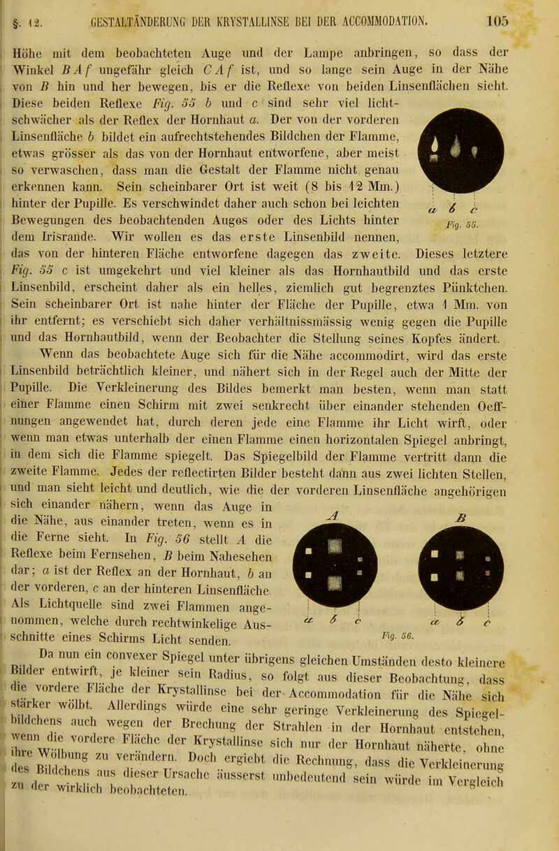 Dieses letztere Höhe mit dem beobachteten Auge und der Lampe anbringen, so dass der Winkel BAf ungefähr gleich CAf ist, und so lange sein Auge in der Nähe von B hin und her bewegen, bis er die Reflexe von beiden Linsenflächen sieht. Diese beiden Reflexe Fig. SS b und c sind sehr viel licht- schwächer als der Reflex der Hornhaut a. Der von der vorderen Linsenfläche b bildet ein aufrechtstehendes Bildchen der Flamme, etwas grösser als das von der Hornhaut entworfene, aber meist so verwaschen, dass man die Gestalt der Flamme nicht genau erkennen kann. Sein scheinbarer Ort ist weit (8 bis 12 Mm.) hinter der Pupille. Es verschwindet daher auch schon bei leichten Bewegungen des beobachtenden Auges oder des Lichts hinter dem Irisrande. Wir wollen es das erste Linsenbild nennen, das von der hinteren Fläche entworfene dagegen das zweite. Fig. SS c ist umgekehrt und viel kleiner als das Hornhautbild und das erste Linsenbild, erscheint daher als ein helles, ziemlich gut begrenztes Pünktchen. Sein scheinbarer Ort ist nahe hinter der Fläche der Pupille, etwa i Mm. von ihr entfernt; es verschiebt sich daher verhältnissmässig wenig gegen die Pupille und das Hornhautbild, weim der Beobachter die Stellung seines Kopfes ändert. Wenn das beobachtete Auge sich für die Nähe accommodirt, wird das erste Linsenbild beträchtlich kleiner, und nähert sich in der Regel auch der Mitte der Pupille. Die Verkleinerung des Bildes bemerkt man besten, wemi man statt einer Flamme einen Schirm mit zwei senkrecht über einander stehenden OefT- nungen angewendet hat, durch deren jede eine Flamme ihr Licht wirft, oder wenn man etwas unterhalb der einen Flamme einen horizontalen Spiegel anbringt, m dem sich die Flamme spiegelt. Das Spiegelbild der Flamme vertritt dann die zweite Flamme. Jedes der reflectirten Bilder besteht dann aus zwei lichten Stellen, und man sieht leicht und deutlich, wie die der vorderen Linsenfläche angehörigen sich einander nähern, wenn das Auge in die Nähe, aus einander treten, wenn es in die Ferne sieht. In Fig. S6 stellt A die Reflexe beim Fernsehen, B beim Nahesehen dar; a ist der Reflex an der Hornhaut, b an der vorderen, c an der hinteren Linsenfläche Als Lichtquelle sind zwei Flammen ange- nommen, welche durch rechtwinkelige Aus- ^ S ö schnitte eines Schirms Licht senden. Da nun ein convexer Spiegel unter übrigens gleichen Umständen desto kleinere Büder entwirf , je kleiner sein Radius, so folgt aus dieser Beobachtung, dass die vordere Flache der Krystallinse bei der Accommodation für die Nähe sich Allerdings würde eine sehr geringe Verkleinerung des Spiegel- stärker wölbt. bildchens auch wegen der Brechung der Strahlen in der Ho\iirentetXn ^^cnn die vordere Fläche der Krystallinse sich nur der Hornhaut näherte, ohne lles'Sr^ T''^'r?- '^'^ ^echmmg, dass die Verkleiner ts Bildchens aus dieser Ursache 7n der wirklich beobachteten. ung äusserst unbedeutend sein würde im Vergleich