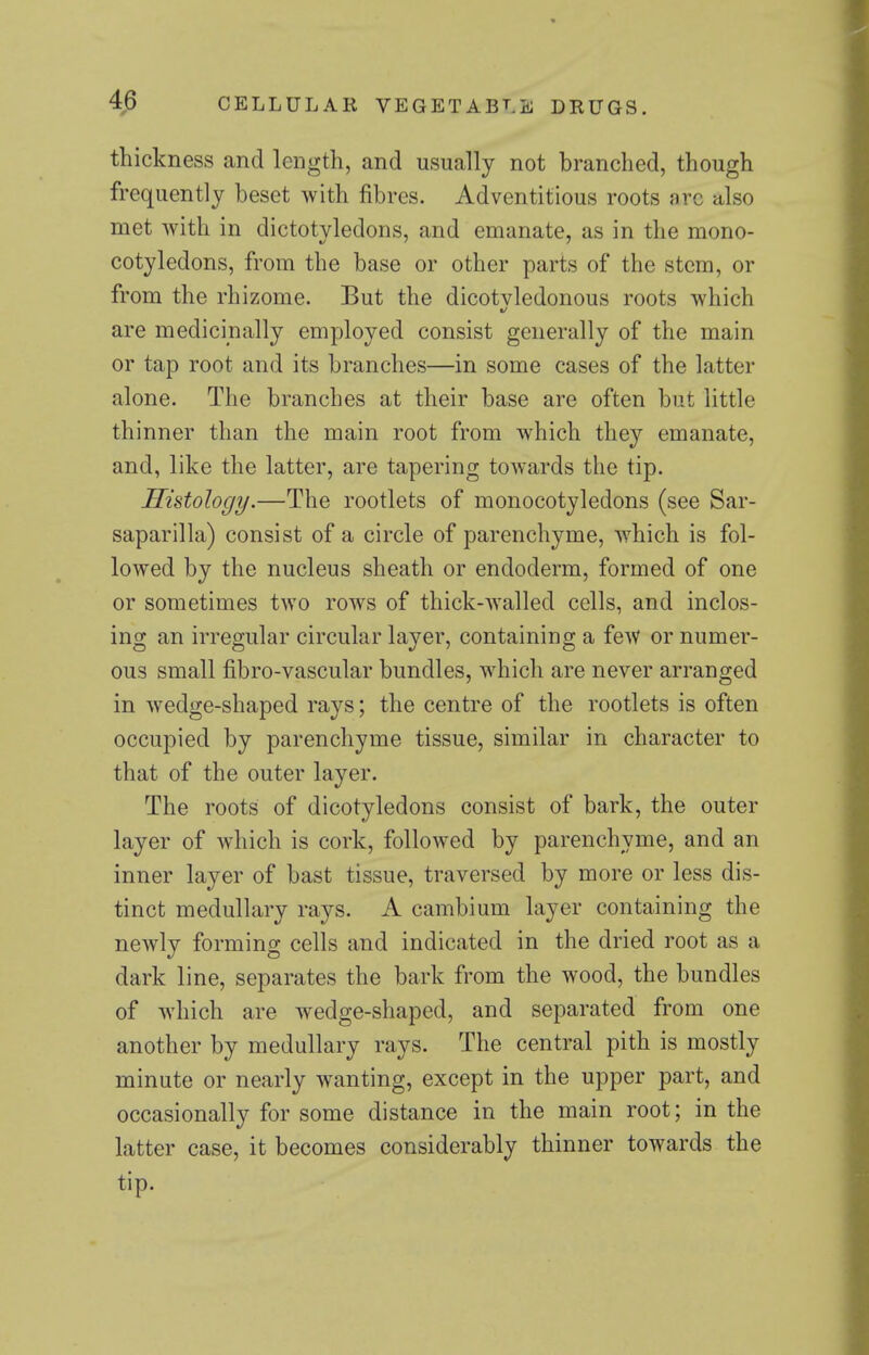 thickness and length, and usually not branched, though frequently beset with fibres. Adventitious roots arc also met with in dictotyledons, and emanate, as in the mono- cotyledons, from the base or other parts of the stem, or from the rhizome. But the dicotyledonous roots which are medicinally employed consist generally of the main or tap root and its branches—in some cases of the latter alone. The branches at their base are often but little thinner than the main root from which they emanate, and, like the latter, are tapering towards the tip. Histology.—The rootlets of monocotyledons (see Sar- saparilla) consist of a circle of parenchyme, which is fol- lowed by the nucleus sheath or endoderm, formed of one or sometimes two rows of thick-walled cells, and inclos- ing an irregular circular layer, containing a few or numer- ous small fibro-vascular bundles, which are never arranged in wedge-shaped rays; the centre of the rootlets is often occupied by parenchyme tissue, similar in character to that of the outer layer. The roots of dicotyledons consist of bark, the outer layer of Avhich is cork, followed by parenchyme, and an inner layer of bast tissue, traversed by more or less dis- tinct medullary rays. A cambium layer containing the newly forming cells and indicated in the dried root as a dark line, separates the bark from the wood, the bundles of which are wedge-shaped, and separated from one another by medullary rays. The central pith is mostly minute or nearly wanting, except in the upper part, and occasionally for some distance in the main root; in the latter case, it becomes considerably thinner towards the tip.