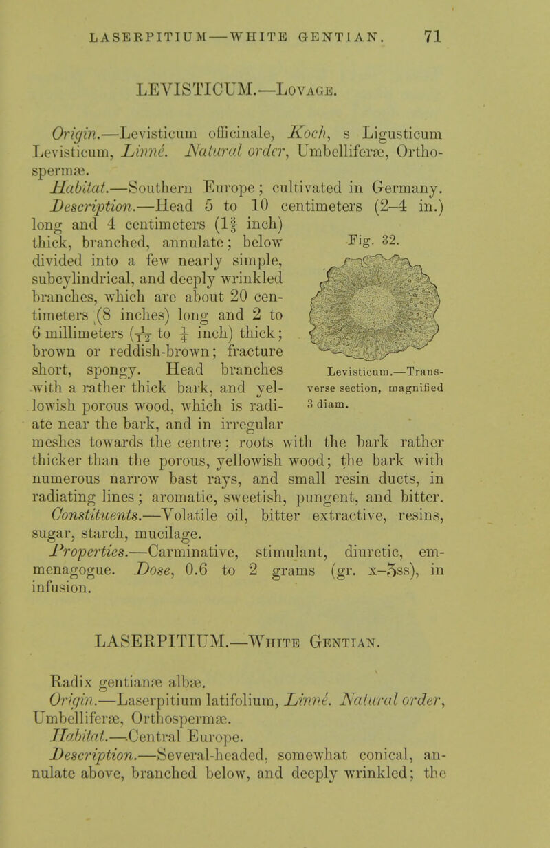 LEVISTICUM.—LovAGE. Fig. 32. Origin.—Levisticum officinale, Koch, s Ligiisticum Levisticiim, Linne. Naiaral order, Umbellifenie, Ortho- sperma?. Habitat.—Southern Europe ; cultivated in Germany. Description.—Head 5 to 10 centimeters (2-4 in.) long and 4 centimeters (If inch) thick, branched, annulate; below divided into a few nearly simple, subcylindrical, and deeply wrinkled branches, which are about 20 cen- timeters (8 inches) long and 2 to 6 millimeters (yV to \ inch) thick; brown or reddish-brown; fracture short, spongy. Head branches with a rather thick bark, and yel- lowish porous wood, which is radi- ate near the bark, and in irregular meshes towards the centre; roots with the bark rather thicker than the porous, yellowish wood; the bark with numerous narrow bast rays, and small resin ducts, in radiating lines; aromatic, sweetish, pungent, and bitter. Constituents.—Volatile oil, bitter extractive, resins, sugar, starch, mucilage. Pro'perties.—Carminative, stimulant, diuretic, em- menagogue. Dose, 0.6 to 2 grams (gr. x-5ss), in infusion. Levisticum.—Trans- verse section, magnified 3 diam. LASERPITIUM.—White Gentian. Radix gentian?e albse. Origin.—Laserpitium latifolium, LiiwL Natural order, Umbelliferae, Orthospermae. Hahitat.—^^Central Europe. Description.—Several-headed, somewhat conical, an- nulate above, branched below, and deeply wrinkled; the