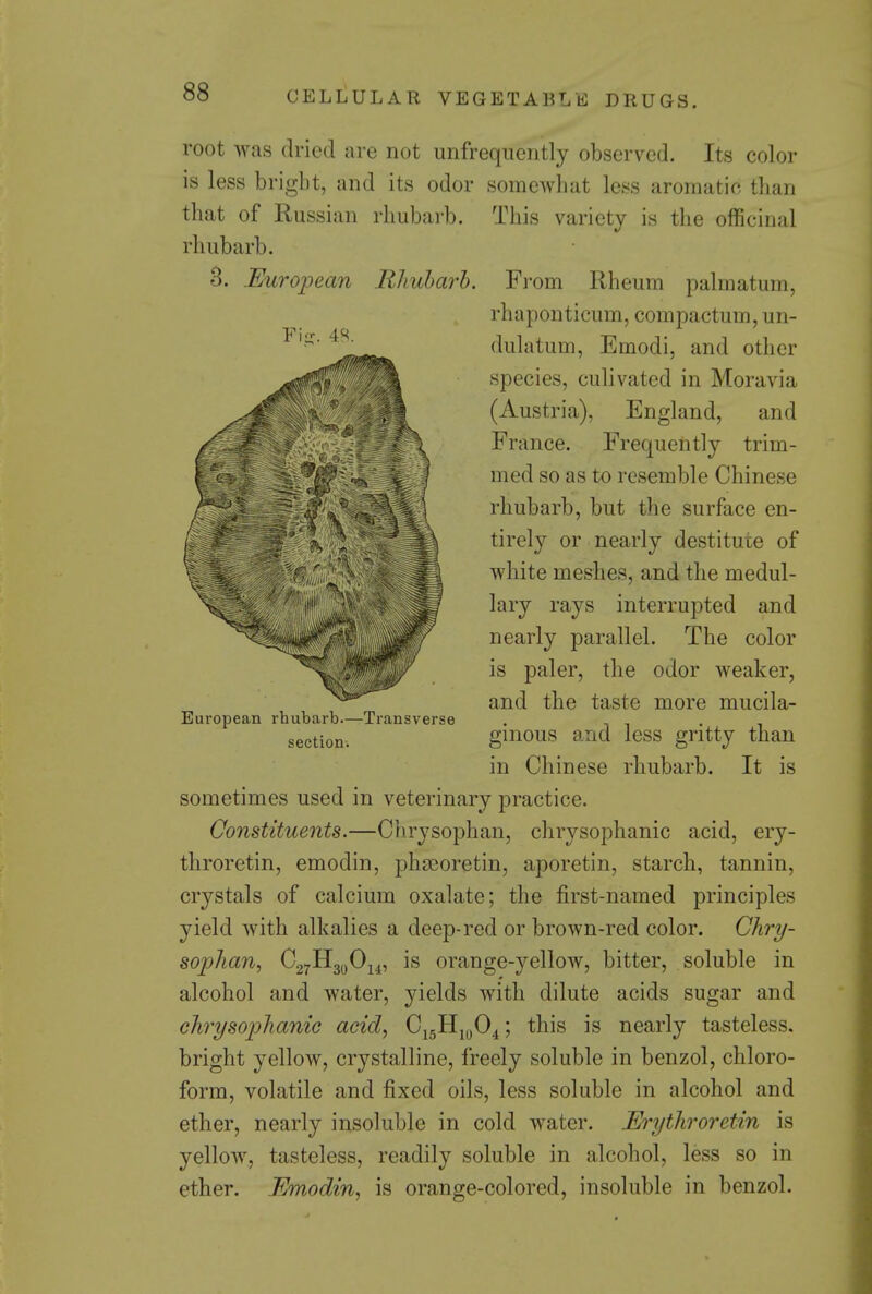 root was dried are not imfrequently observed. Its color is less bright, and its odor somewhat less aromatic than that of Russian rhubarb. This variety is the officinal rhubarb. 3. European Rlmharh. From Rheum palmatum, rhaponticum, compactum, un- dulatum, Emodi, and other species, culivated in Moravia (Austria), England, and France. Frequently trim- med so as to resemble Chinese rliubarb, but the surface en- tirely or nearly destitute of white meshes, and the medul- lary rays interrupted and nearly parallel. The color is paler, the odor weaker, and the taste more mucila- European rhubarb.—Transverse . ^ . . . section. gmous and less gritty than in Chinese rhubarb. It is sometimes used in veterinary practice. Constituents.—Chrysophan, chrysophanic acid, ery- throretin, emodin, phDeoretin, aporetin, starch, tannin, crystals of calcium oxalate; the first-named principles yield with alkalies a deep-red or brown-red color. Chry- sophan, ^2T^2,S^\A-> orange-yellow, bitter, soluble in alcohol and water, yields with dilute acids sugar and chrysophanic acid, ^iJ^iS^^: 5 ^^^^ nearly tasteless, bright yellow, crystalline, freely soluble in benzol, chloro- form, volatile and fixed oils, less soluble in alcohol and ether, nearly insoluble in cold water. Erythroretin is yellow, tasteless, readily soluble in alcohol, less so in ether. Emodin, is orange-colored, insoluble in benzol.