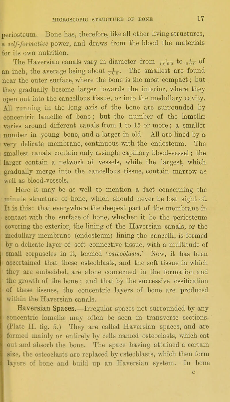 periosteum. Bone has, therefore, like all other living structures, a self-fonnatice power, and draws from the blood the materials for its own nutrition. The Haversian canals vary in diameter from j-y'^ to -g-ou an inch, the average being about -5-^. The smallest are found near the outer surface, where the bone is the most compact; but they gradually become larger towards the interior, where they open out into the cancellous tissue, or into the medullary cavity. All running in the long axis of the bone are surrounded by concentric lamellte of bone; but the number of the lamellae varies around different canals from 1 to 15 or more; a smaller nmuber in young bone, and a larger in old. All are lined by a very delicate membrane, continuous with the endosteum. The smallest canals contain only a.single capillary blood-vessel; the larger contain a network of vessels, while the largest, which gradually merge into the cancellous tissue, contain marrow as weU as blood-vessels. Here it may be as well to mention a fact concerning the minute structure of bone, which should never be lost sight of. It is this: that everywhere the deepest part of the membrane in contact with the surface of bone, whether it bo the periosteum covering the exterior, the lining of the Haversian canals, or the medullary membrane (endosteum) Lining the cancelli, is formed by a delicate layer of soft connective tissue, with a multitude of small corpuscles in it, termed 'osteoblasts.' Now, it has been ascertained that these osteoblasts, and the soft tissue in which they are embedded, are alone concerned in the formation and the growth of the bone ; and that by the successive ossification of these tissues, the concentric layers of bone are produced within the Haversian canals. Haversian Spaces.—Irregular spaces not surrounded by any concentric lamellse may often be seen in transverse sections. (Plate II, fig. 5.) They are called Haversian spaces, and are formed mainly or entirely by cells named osteoclasts, which eat out and absorb the bone. The space having attained a certain size, the osteoclasts are replaced by c steoblasts, which then form layers of bono and build up an Haversian system. In bone 0