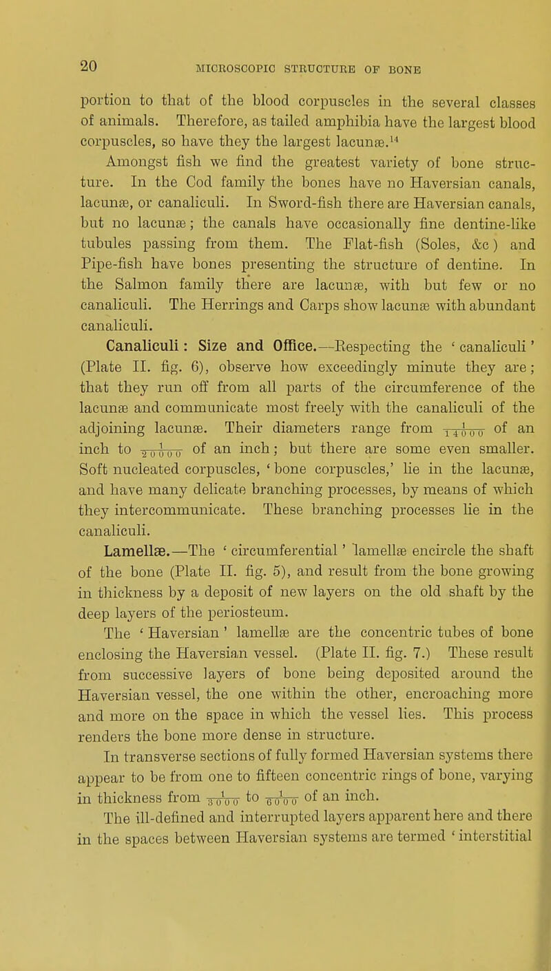 portion to that of the blood corpuscles in the several classes of animals. Therefore, as tailed amphibia have the largest blood corpuscles, so have they the largest lacunae.''' Amongst fish we find the greatest variety of bone struc- ture. In the Cod family the bones have no Haversian canals, lacunae, or canaliculi. In Sword-fish there are Haversian canals, but no lacun£e; the canals have occasionally fine dentine-like tubules passing from them. The Flat-fish (Soles, &c) and Pipe-fish have bones presenting the structure of dentine. In the Salmon family there are lacunae, with but few or no canaliculi. The Herrings and Carps show lacunfe with abundant canaliculi. Canaliculi: Size and Office.—Eespecting the ' canaliculi' (Plate II. fig. 6), observe how exceedingly minute they are; that they run off from all parts of the circumference of the lacunee and communicate most freely with the canaliculi of the adjoining lacunae. Their diameters range from ^^^m, of an inch to of an inch; but there are some even smaller. Soft nucleated corpuscles, ' bone corpuscles,' lie in the lacunae, and have many delicate branching processes, by means of which they intercommunicate. These branching processes lie in the canaliculi. Lamellae.—The ' circumferential' lamellfe encircle the shaft of the bone (Plate II. fig. 5), and result from the bone growing in thickness by a deposit of new layers on the old shaft by the deep layers of the periosteum. The ' Haversian' lamellae are the concentric tabes of bone enclosing the Haversian vessel. (Plate II. fig. 7.) These result from successive layers of bone being deposited around the Haversian vessel, the one within the other, encroaching more and more on the space in which the vessel lies. This process renders the bone more dense in structure. In transverse sections of fully formed Haversian systems there appear to be from one to fifteen concentric rings of bone, varying in thickness from auVo to of an inch. The ill-defined and interrupted layers apparent here and there in the spaces between Haversian systems are termed ' interstitial