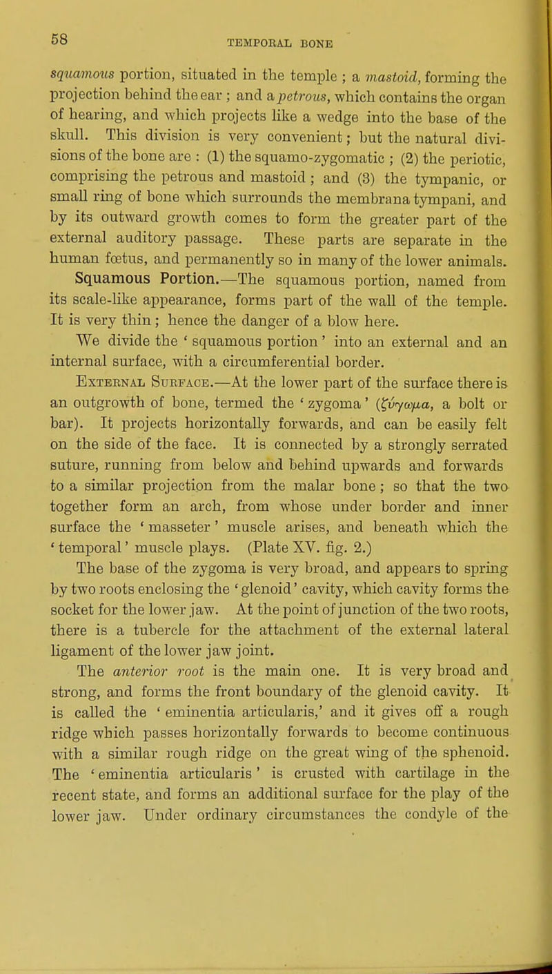 squamous portion, situated in the temple ; a mastoid, forming the projection behind the ear ; and a petrous, which contains the organ of hearing, and which projects like a wedge into the base of the skull. This division is very convenient; but the natural divi- sions of the bone are : (1) the squamo-zygomatic ; (2) the periotic, comprising the petrous and mastoid ; and (3) the tympanic, or small rmg of bone which surrounds the membrana tympani, and by its outward growth comes to form the greater part of the external auditory passage. These parts are separate in the human foetus, and permanently so in many of the lower animals. Squamous Portion.—The squamous portion, named from its scale-like appearance, forms part of the wall of the temple. It is very thin; hence the danger of a blow here. We divide the ' squamous portion' into an external and an internal surface, with a circumferential border. External Surface.—At the lower part of the surface there is an outgrowth of bone, termed the * zygoma' {^vyw/xa, a bolt or bar). It projects horizontally forwards, and can be easUy felt on the side of the face. It is connected by a strongly serrated suture, running from below and behind upwards and forwards to a similar projection from the malar bone; so that the two together form an arch, from whose under border and inner surface the ' masseter' muscle arises, and beneath which the ' temporal' muscle plays. (Plate XV. fig. 2.) The base of the zygoma is very broad, and appears to spring by two roots enclosing the ' glenoid' cavity, which cavity forms the socket for the lower jaw. At the point of junction of the two roots, there is a tubercle for the attachment of the external lateral ligament of the lower jaw joint. The anterior root is the main one. It is very broad and strong, and forms the front boundary of the glenoid ca'^dty. It is called the ' eminentia articularis,' and it gives off a rough ridge which passes horizontally forwards to become continuous with a similar rough ridge on the great wing of the sphenoid. The ' eminentia articularis' is crusted with cartilage in the recent state, and forms an additional surface for the play of the lower jaw. Under ordinary circumstances the condyle of the