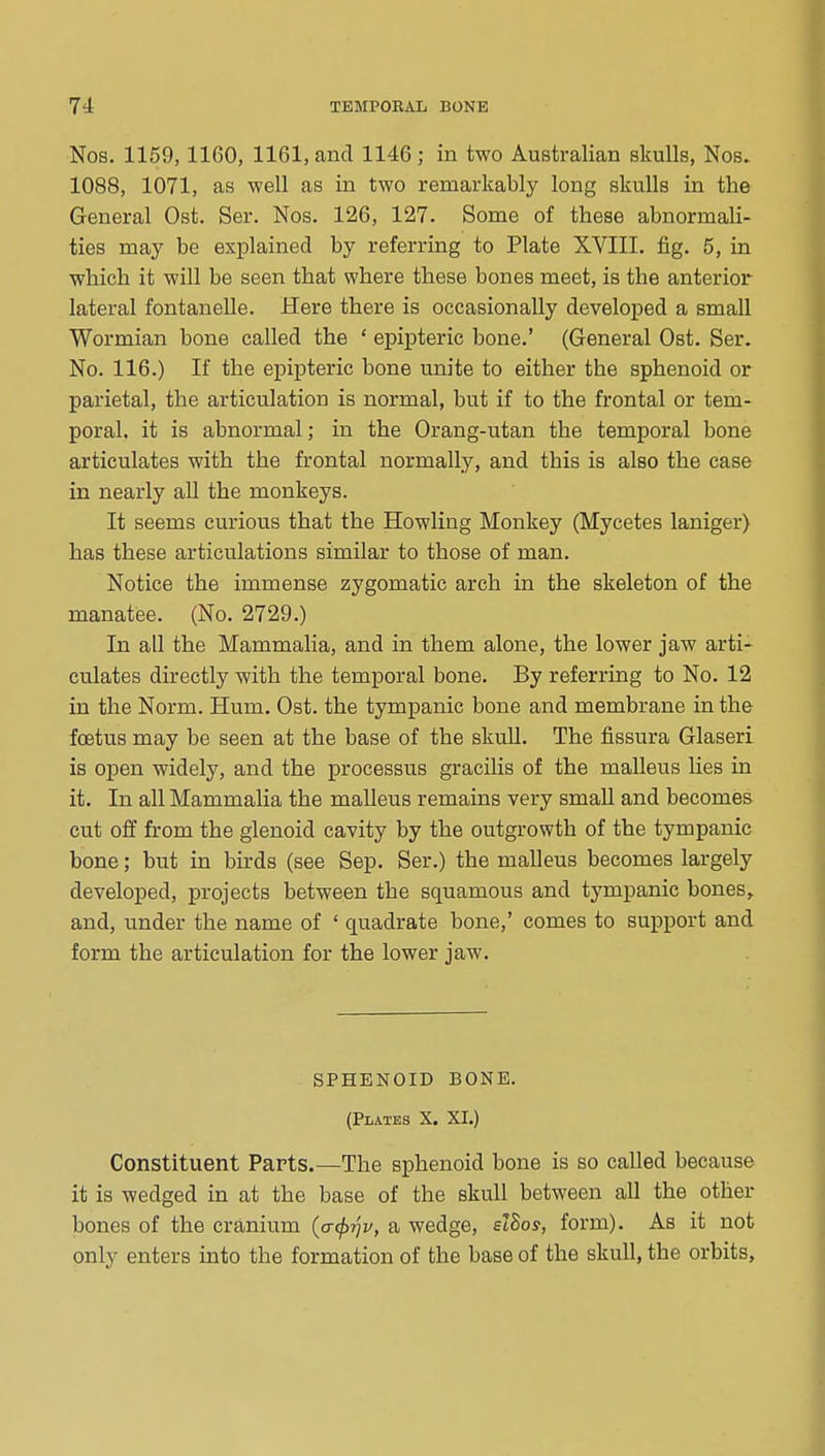 Nos. 1159, IIGO, 1161, and 1146; in two Australian skulls, Nos. 1088, 1071, as well as in two remarkably long skulls in the General Ost. Ser. Nos. 126, 127. Some of these abnormali- ties may be explained by referring to Plate XVIII. fig. 5, in which it will be seen that where these bones meet, is the anterior lateral fontanelle. Here there is occasionally developed a small Wormian bone called the ' epipteric bone.' (General Ost. Ser. No. 116.) If the epipteric bone unite to either the sphenoid or parietal, the articulation is normal, but if to the frontal or tem- poral, it is abnormal; in the Orang-utan the temporal bone articulates with the frontal normally, and this is also the case in nearly all the monkeys. It seems curious that the Howling Monkey (Mycetes laniger) has these articulations similar to those of man. Notice the immense zygomatic arch in the skeleton of the manatee. (No. 2729.) In all the Mammalia, and in them alone, the lower jaw arti- culates directly with the temporal bone. By referring to No. 12 in the Norm. Hum. Ost. the tympanic bone and membrane in the foetus may be seen at the base of the skull. The fissura Glaseri is oj)en widely, and the processus gracilis of the malleus lies in it. In all Mammalia the malleus remains very small and becomes cut off from the glenoid cavity by the outgrowth of the tympanic bone; but in birds (see Sep. Ser.) the malleus becomes largely developed, projects between the squamous and tympanic bones,, and, under the name of ' quadrate bone,' comes to support and form the articulation for the lower jaw. SPHENOID BONE. (Plates X. XI.) Constituent Parts.—The sphenoid bone is so called because it is wedged in at the base of the skull between all the other bones of the cranium {a-^rjv, a wedge, slhos, form). As it not only enters into the formation of the base of the skull, the orbits.