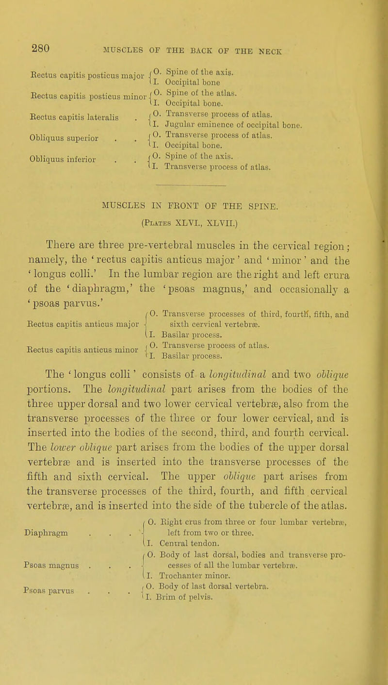 Beotus capitis posticus major Eectus capitis posticus minor Eectus capitis lateralis Obliquus superior Obliquus inferior Spine of the axis. Occipital bone Spine of the atlas. Occipital bone. Transverse process of atlas. Jugular eminence of occipital bone. Transverse process of atlas. Occipital bone. Spine of the axis. Transverse process of atlas. MUSCLES IN FEONT OF THE SPINE. (Plates XLVI., XLVII.) There are three pre-vertebral muscles in the cervical region ; namely, the ' rectus capitis anticus major ' and ' minor ' and the ' lougus colli.' In the lumbar region are the right and left crura of the 'diaphragm,' the 'psoas magnus,' and occasionally a ' i3soas parvus.' 10. Transverse processes of third, fourtK, fifth, and Eectus capitis anticus major i sixth cervical vertebrte. i I. Basilar process. -D , -J.. • (0. Transverse process of atlas. Eectus capitis anticus minor J ., ' I. Basilar process. The ' longus colli' consists of a longitudinal and two oblique portions. The longitudinal part arises from the bodies of the three upper dorsal and two lower cervical vertebrae, also from the transverse processes of the three or four lower cervical, and is inserted into the bodies of the second, third, and fourth cervical. The loicer ohlique part arises from the bodies of the upper dorsal vertebrse and is inserted into the transverse processes of the fifth and sixth cervical. The upper oblique part arises from the transverse processes of the third, fourth, and fifth cervical vertebrte, and is inserted into the side of the tubercle of the atlas. I 0. Eight eras from three or four lumbar vertebra', Diaphragm . . . J left from two or three. 11. Ceniral tendon. / 0. Body of last dorsal, bodies and transverse pro- Psoas magnus . . . - cesses of all the lumbar vertebiw. {I. Trochanter minor. ■D ( 0. Body of last dorsal vertebra. Psoas parvus ... J •' ' I. Brim of pelvis.