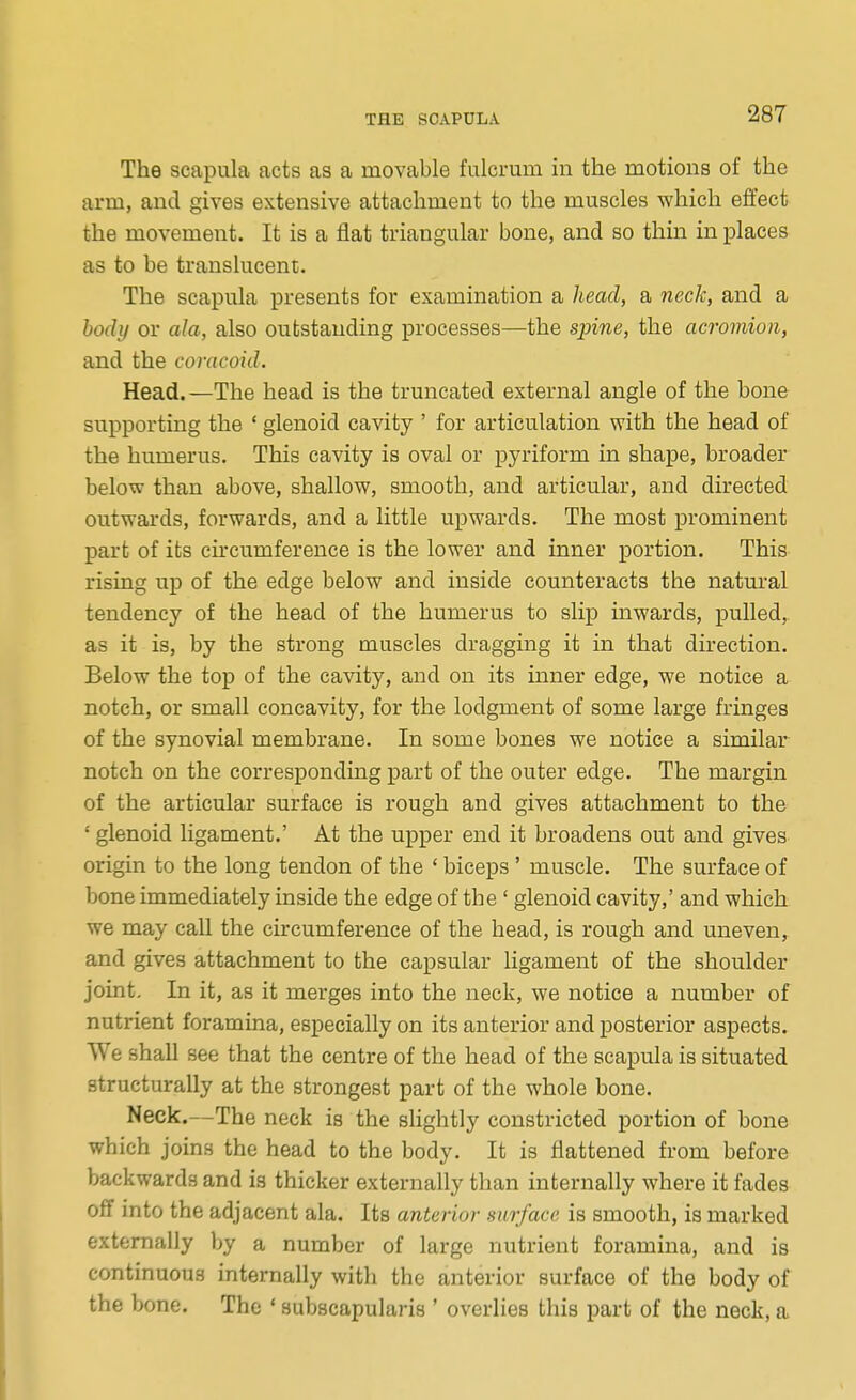 The scapula acts as a movable fulcrum in the motions of the arm, and gives extensive attachment to the muscles which effect the movement. It is a flat triangular bone, and so thin in places as to be translucent. The scapula presents for examination a head, a neck, and a body or ala, also outstanding processes—the spine, the acromion, and the coracoid. Head. —The head is the truncated external angle of the bone supporting the ' glenoid cavity ' for articulation with the head of the humerus. This cavity is oval or pyriform in shape, broader below than above, shallow, smooth, and articular, and directed outwards, forwards, and a little upwards. The most prominent part of its circumference is the lower and inner portion. This rising up of the edge below and inside counteracts the natural tendency of the head of the humerus to slip inwards, pulled, as it is, by the strong muscles dragging it in that direction. Below the top of the cavity, and on its inner edge, we notice a notch, or small concavity, for the lodgment of some large fringes of the synovial membrane. In some bones we notice a similar notch on the corresponding part of the outer edge. The margin of the articular surface is rough and gives attachment to the ' glenoid ligament.' At the upper end it broadens out and gives origin to the long tendon of the ' biceps' muscle. The surface of bone immediately inside the edge of the ' glenoid cavity,' and which we may call the cu-cumference of the head, is rough and uneven, and gives attachment to the capsular ligament of the shoulder joint. In it, as it merges into the neck, we notice a number of nutrient foramina, especially on its anterior and posterior aspects. We shall see that the centre of the head of the scapula is situated structurally at the strongest part of the whole bone. Neck.—The neck is the slightly constricted portion of bone which joins the head to the body. It is flattened from before backwards and is thicker externally than internally where it fades off into the adjacent ala. Its anterior surface is smooth, is marked externally by a number of large nutrient foramina, and is continuous internally with the anterior surface of the body of the bone. The ' subscapularis ' overlies this part of the neck, a