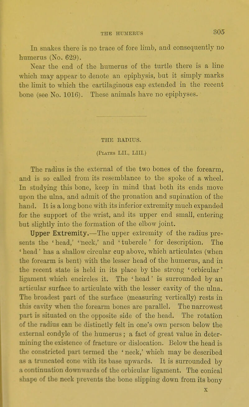 In snakes there is no trace of fore limb, and consequently no humerus (No. 629). Near the end of the humerus of the turtle there is a line which may appear to denote an epiphysis, but it simply marks the limit to which the cartilaginous cap extended in the recent bone (see No. 1016). These animals have no epiphyses. THE EADIUS. (Plates LII., LIII.) The radius is the external of the two bones of the forearm, and is so called from its resemblance to the spoke of a wheel. In studying this bone, keep in mind that both its ends move upon the ulna, and admit of the pronation and supination of the hand. It is a long bone with its inferior extremity much expanded for the support of the wrist, and its upper end small, entering but slightly into the formation of the elbow joint. Upper Extremity.—The upper extremity of the radius pre- sents the ' head,' ' neck,' and ' tubercle ' for description. The ' head' has a shallow circular cup above, which articulates (when the forearm is bent) with the lesser head of the humerus, and in the recent state is held in its place by the strong ' orbicular' ligament which encircles it. The ' head' is surrounded by an articular surface to articulate with the lesser cavity of the ulna. The broadest part of the surface (measuring vertically) rests in this cavity when the forearm bones are parallel. The narrowest part is situated on the opposite side of the head. The rotation of the radius can be distinctly felt in one's own person below the external condyle of the humerus ; a fact of great value in deter- mining the existence of fracture or dislocation. Below the head is the constricted part termed the ' neck,' which may be described as a truncated cone with its base upwards. It is surrounded by a continuation downwards of the orbicular ligament. The conical shape of the neck prevents the bone slipping down from its bony X
