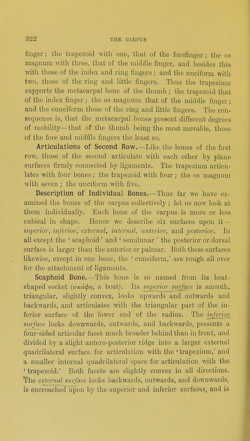 finger; the trapezoid with one, that of the forefinger; the os magnum with three, that of the middle finger, and besides this with those of the index and ring fingers ; and the unciform with two, those of the ring and httle fingers. Thus the trapezium supports the metacarpal bone of the thumb ; the trapezoid that of the index finger ; the os magnum that of the middle finger; and the cuneiform those of the ring and little fingers. The con- sequence is, that the metacarpal bones present different- degrees of mobility—that of the thumb being the most movable, those of the fore and middle fingers the least so. Articulations of Second Row.—Like the bones of the first row, those of the second articulate with each other by plane surfaces firmly connected by ligaments. The trapezium articu- lates with four bones ; the trapezoid with four ; the os magnum with seven ; the unciform with five. Description of Individual Bones.—Thus far we have ex- amined the bones of the carj)us collectively ; let us now look at them individually. Each bone of the carpus is more or less cubical in shape. Hence we describe six surfaces upon it — superior, inferior, external, internal, anterior, and posterior. In all except the ' scaphoid ' and ' semilunar ' the posterior or dorsal surface is larger than the anterior or palmar. Both these surfaces likewise, except in one bone, the ' cuneiform,' are rough all over for the attachment of ligaments. Scaphoid Bone.—This bone is so named from its boat- shaped socket {cTKcicpr], a boat). Its superior surface is smooth, triangular, slightly convex, looks upwards and outwards and backwards, and articulates with the triangular part of the in- ferior surface of the lower end of the radius. The inferior, surface looks downwards, outwards, and backwards, presents a four-sided articular facet much broader behind than in front, and divided by a slight antero-posterior ridge into a larger external quadrilateral surface for articulation with the * trapezium,' and a smaller internal quadrilateral space for articulation with the ' trapezoid.' Both facets are slightly convex in all directions. IChe external surface looks backwards, outwards, and downwards, is encroached upon by the superior and inferior surfaces, and is