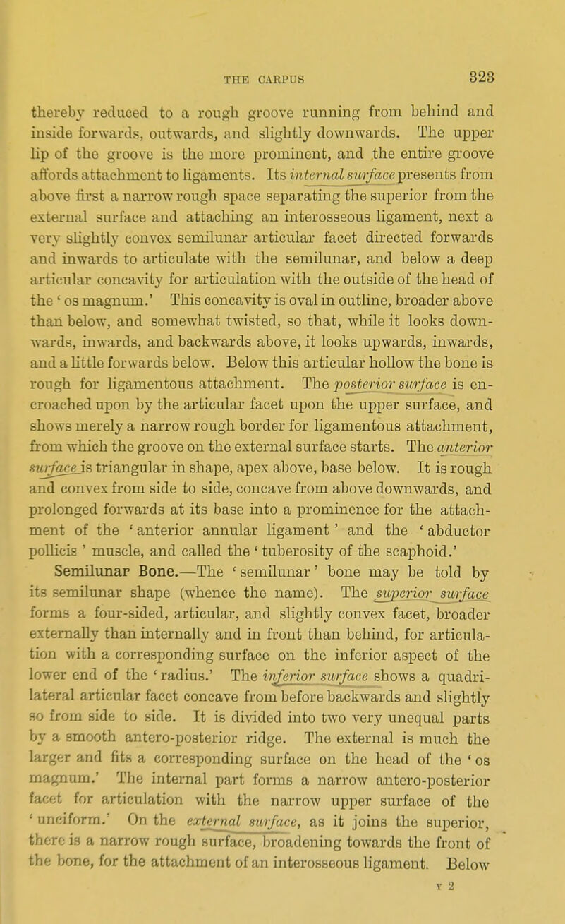 thereby reduced to a rough groove running from behind and inside forwards, outwards, and sHghtly downwards. The ujjper hp of the groove is the more prominent, and .the entire groove affords attachment to hgaments. Its internal surface presents from above first a narrow rough space separating the superior from the external surface and attaching an interosseous hgament, nest a very slightly convex semilunar articular facet directed forwards and inwards to articulate with the semilunar, and below a deep articular concavity for articulation with the outside of the head of the ' OS magnum.' This concavity is oval in outline, broader above than below, and somewhat twisted, so that, while it looks down- wards, inwards, and backwards above, it looks upwards, inwards, and a little forwards below. Below this articular hollow the bone is rough for ligamentous attachment. The posterior surf ace is en- croached upon by the articular facet upon the upper surface, and shows merely a narrow rough border for ligamentous attachment, from which the groove on the external surface starts. The cmterior surface is triangular in shape, apex above, base below. It is rough and convex fi-om side to side, concave from above downwards, and prolonged forwards at its base into a prominence for the attach- ment of the ' anterior annular ligament' and the * abductor poUicis ' muscle, and called the ' tuberosity of the scaj)hoid.' Semilunar Bone.—The ' semilunar' bone may be told by its semilunar shape (whence the name). The swjjerior surface^ forms a four-sided, articular, and slightly convex facet, broader externally than internally and in front than behind, for articula- tion with a corresponding sm-face on the inferior aspect of the lower end of the 'radius.' The hiferior surface shows a quadri- lateral articular facet concave from before backwards and slightly so from side to side. It is divided into two very unequal parts by a smooth antero-posterior ridge. The external is much the larger and fits a corresponding surface on the head of the ' os magnum.' The internal part forms a narrow antero-posterior facet for articulation with the narrow upper surface of the ' unciform.' On the exteijudsiirface, as it joins the superior, there is a narrow rough surface, broadening towards the front of the bone, for the attachment of an interosseous ligament. Below Y 2
