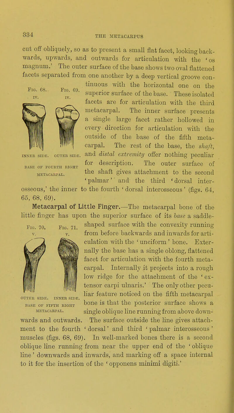 Fig. 68. Fig. 69. INNEE SIDE. OUTER SIDE. BASE OF FOUETH RIGHT METACABPAL. cut off obliquely, so as to present a small flat facet, looking back- wards, upwards, and outwards for articulation with the ' os magnum.' The outer surface of the base shows two oval flattened facets separated from one another by a deep vertical groove con- tinuous with the horizontal one on the superior surface of the base. These isolated facets are for articulation with the third metacarpal. The inner surface presents a single large facet rather hollowed in every direction for articulation with the outside of the base of the fifth meta- carpal. The rest of the base, the shaft, and distal extremity offer nothing peculiar for description. The outer surface of the shaft gives attachment to the second ' palmar '' and the third ' dorsal inter- osseous,' the inner to the fourth ' dorsal interosseous' (figs. 64, 65, 68, 69). Metacarpal of Little Fingfer.—The metacarpal bone of the little finger has upon the superior surface of its hasc a saddle- shaped surface with the convexity running from before backwards and inwards for arti- culation with the ' unciform ' bone. Exter- nally the base has a single oblong, flattened facet for articulation with the fourth meta- carpal. Internally it projects into a rough low ridge for the attachment of the ' ex- tensor carj)i ulnaris.' The only other pecu- liar feature noticed on the fifth metacarpal bone is that the posterior surface shows a single oblique line running from above down- The surface outside the line gives attach- ment to the fourth ' dorsal' and third ' palmar interosseous ' muscles (figs. 68, 69). In well-marked bones there is a second oblique line running from near the upper end of the ' oblique line' downwards and inwards, and marking off a space internal to it for the insertion of the ' opponens minimi digiti.' Fig. 70. OUTER SIDE. INNEB SIDE. BASE OP FIFTH BIGHT JIETACARPAL. wards and outwards.