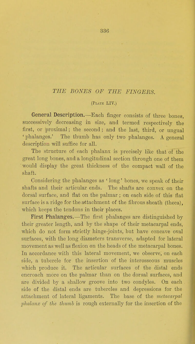 THE BONES OF THE FINGERS. (Plate LIV.) General Description.—Each finger consists of three bones, successively decreasing in size, and termed respectively the first, or proximal; the second; and the last, third, or ungual • phalanges.' The thumb has only two phalanges. A general description will suffice for all. The structure of each phalanx is precisely like that of the great long bones, and a longitudinal section through one of them would display the great thickness of the compact wall of the shaft. Considering the phalanges as ' long' bones, we speak of their shafts and their articular ends. The shafts are convex on the dorsal surface, and flat on the palmar ; on each side of this flat surface is a ridge for the a/ttachment of the fibrous sheath (theca), which keeps the tendons in their places. First Phalangfes.—The first phalanges are distinguished by their greater length, and by the shape of their metacarpal ends, which do not form strictly hinge-joints, but have concave oval surfaces, with the long diameters transverse, adapted for lateral movement as well as flexion on the heads of the metacarpal bones. In accordance with this lateral movement, we observe, on each side, a tubercle for the insertion of the interosseous muscles which produce it. The articular surfaces of the distal ends encroach more on the palmar than on the dorsal surfaces, and are divided by a shallow groove into two condyles. On each side of the distal ends are tubercles and depressions for the attachment of lateral ligaments. The base of the metacarpal lihalanx of the thuinh is rough externally for the insertion of the