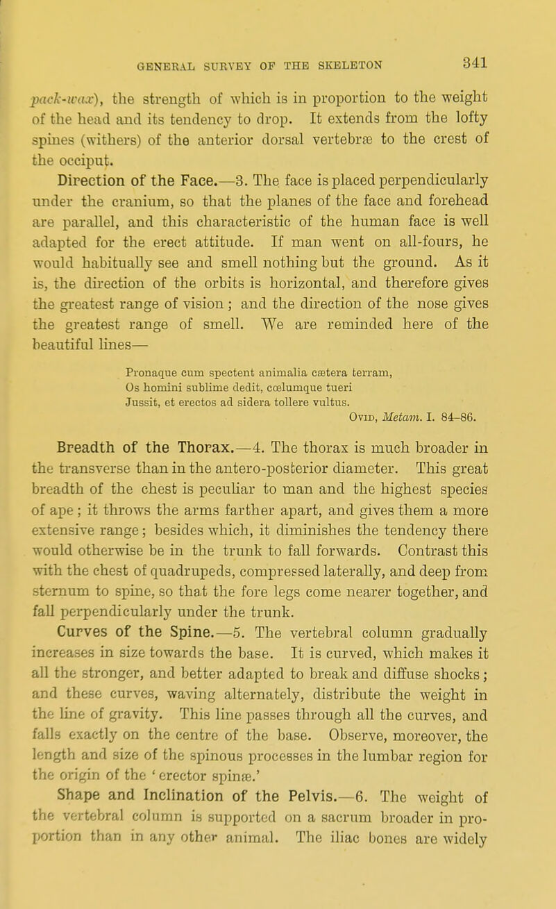 pack-wax), the strength of which is in proportion to the weight of the head and its tendency to drop. It extends from the lofty spines (withers) of the anterior dorsal vertebrfe to the crest of the occiput. Direction of the Face.—^8. The face is placed perpendicularly under the cranium, so that the planes of the face and forehead are parallel, and this characteristic of the human face is well adapted for the erect attitude. If man went on all-fours, he would habitually see and smell nothing but the ground. As it is, the direction of the orbits is horizontal, and therefore gives the gi-eatest range of vision; and the direction of the nose gives the greatest range of smell. We are reminded here of the beautiful Hnes— Pronaque cum spectent animalia ceetera terram, Os homini sublime cledit, coelumque tueri Jussit, et erectos ad sidera tollere vultus. Ovid, Metam. I. 84-86. Breadth of the Thorax.—4. The thorax is much broader in the transverse than in the antero-posterior diameter. This great breadth of the chest is pecuHar to man and the highest species of ape ; it throws the arms farther apart, and gives them a more extensive range; besides which, it diminishes the tendency there would otherwise be in the trunk to fall forwards. Contrast this with the chest of quadrupeds, compreesed laterally, and deep from sternum to spine, so that the fore legs come nearer together, and fall perpendicularly under the trunk. Curves of the Spine.—5. The vertebral column gradually increases in size towards the base. It is curved, which makes it all the stronger, and better adapted to break and diffuse shocks; and these curves, waving alternately, distribute the weight in the line of gravity. This line passes through all the curves, and falls exactly on the centre of the base. Observe, moreover, the length and size of the spinous processes in the lumbar region for the origin of the ' erector spinre.' Shape and Inclination of the Pelvis.—6. The weight of the vertebral column is supported on a sacrum broader in pro- portion than in any other animal. The iliac bones are widely