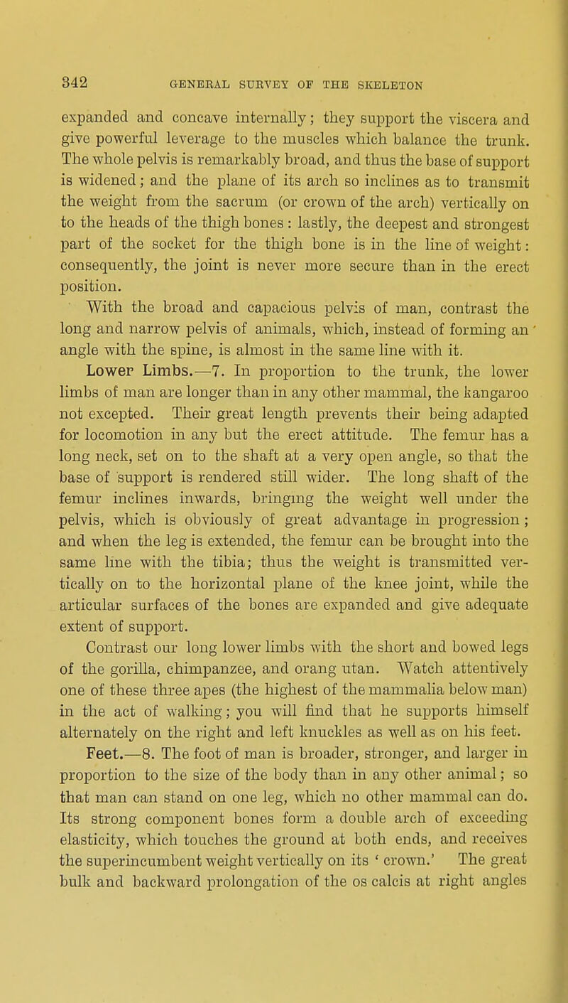 expanded and concave internally; they support the viscera and give powerful leverage to the muscles which balance the trunk. The whole pelvis is remarkably broad, and thus the base of support is widened; and the plane of its arch so inclines as to transmit the weight from the sacrum (or crown of the arch) vertically on to the heads of the thigh bones : lastly, the deepest and strongest part of the socket for the thigh bone is in the line of weight: consequently, the joint is never more secure than in the erect position. With the broad and capacious pelvis of man, contrast the long and narrow pelvis of animals, which, instead of forming an angle with the spine, is almost in the same line with it. Lower Limbs.—7. In proportion to the trunk, the lower limbs of man are longer than in any other mammal, the kangaroo not excepted. Their great length prevents their being adapted for locomotion in any but the erect attitude. The femur has a long neck, set on to the shaft at a very open angle, so that the base of support is rendered still wider. The long shaft of the femur inclines inwards, bringing the weight well under the pelvis, which is obviously of great advantage in progression ; and when the leg is extended, the femur can be brought into the same line with the tibia; thus the weight is transmitted ver- tically on to the horizontal plane of the knee joint, while the articular surfaces of the bones are expanded and give adequate extent of support. Contrast our long lower limbs with the short and bowed legs of the gorilla, chimpanzee, and orang utan. Watch attentively one of these three apes (the highest of the mammalia below man) in the act of walking; you will find that he supports himself alternately on the right and left knuckles as well as on his feet. Feet.—8. The foot of man is broader, stronger, and larger in proportion to the size of the body than in any other animal; so that man can stand on one leg, which no other mammal can do. Its strong component bones form a double arch of exceeding elasticity, which touches the ground at both ends, and receives the superincumbent weight vertically on its ' crown.' The great bulk and backward prolongation of the os calcis at right angles